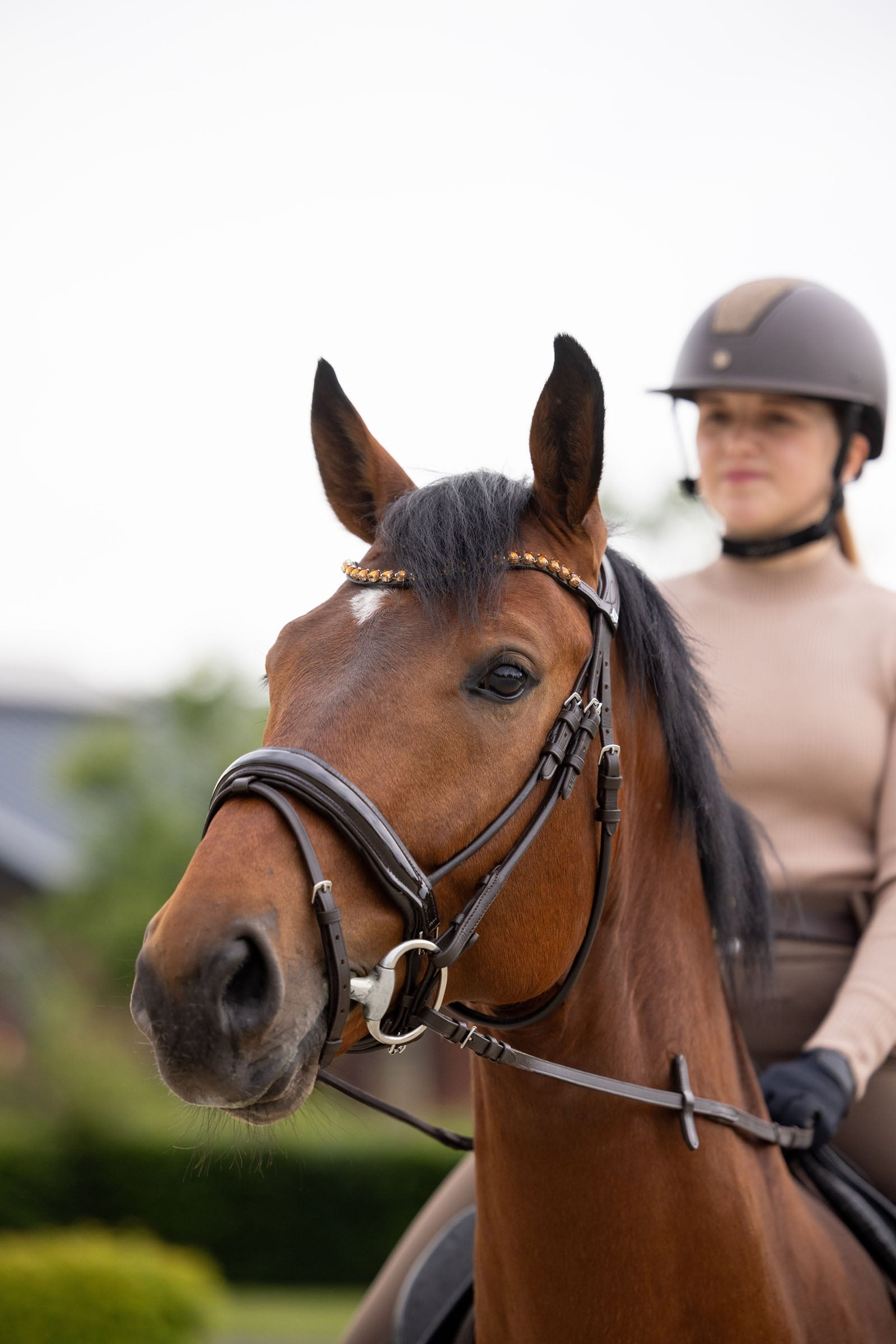 Horze Clermont Anatomic Bridle Bridles & Reins