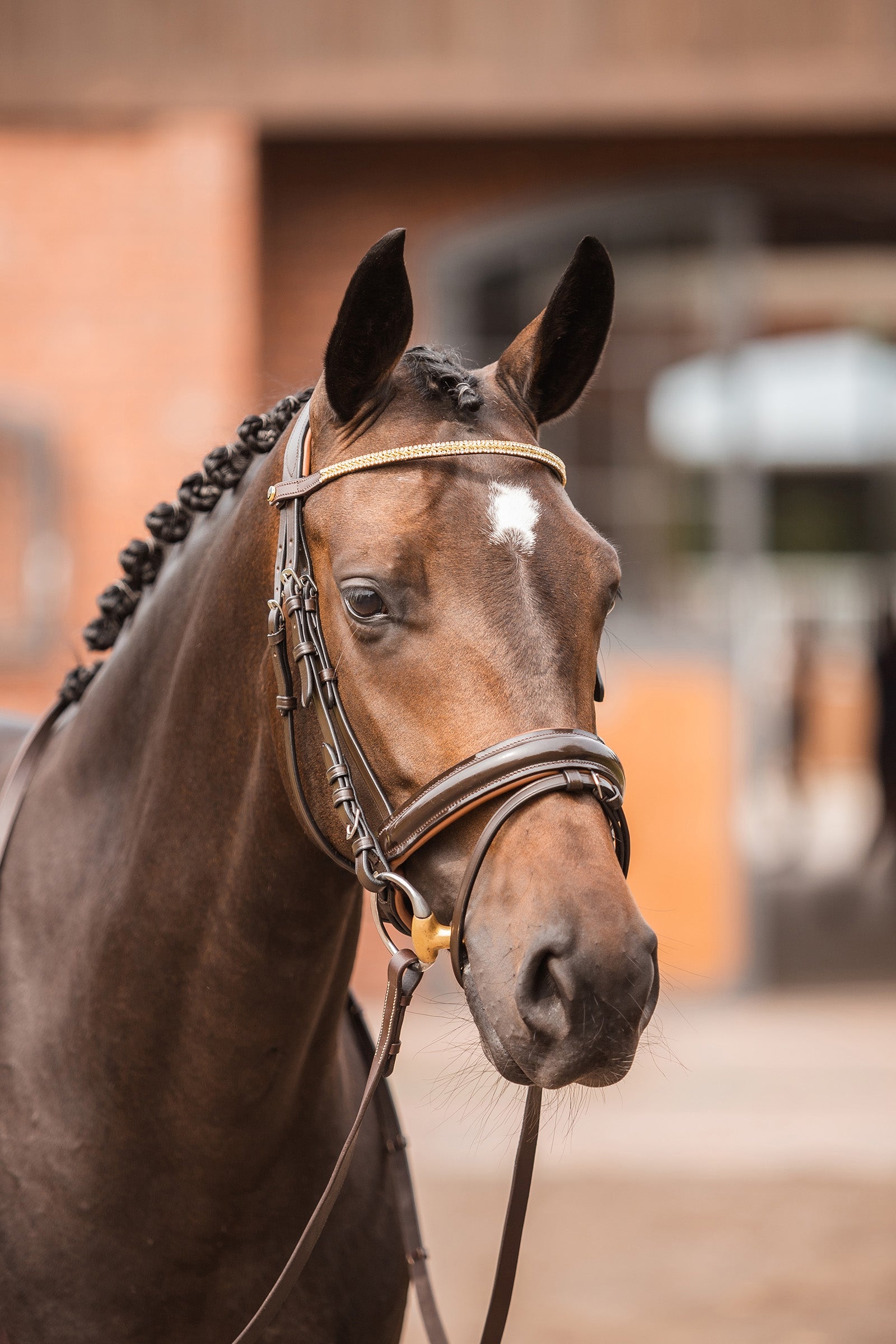 Horze Nancy Crystal and Wire Brow Band Bridles & Reins
