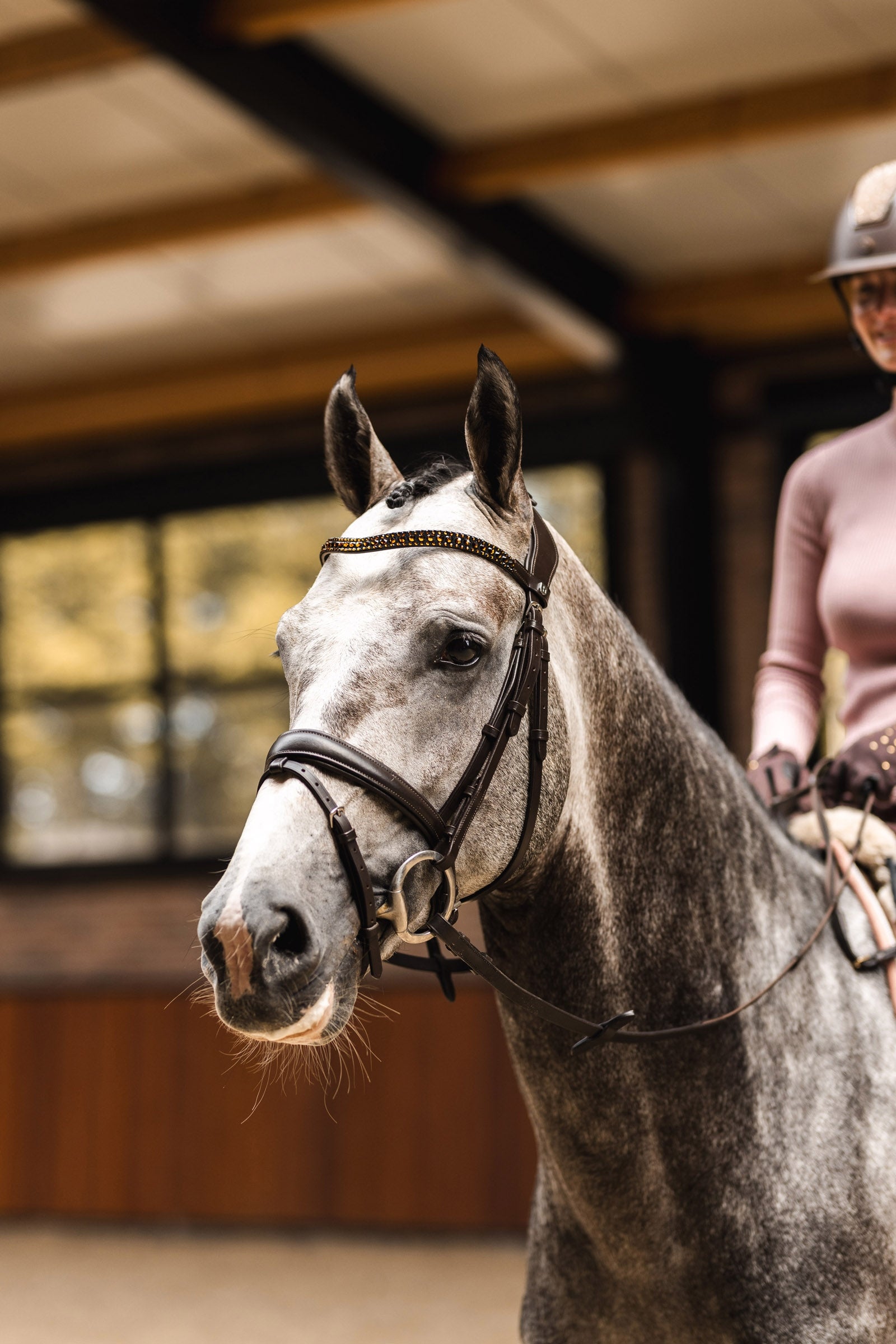 Horze St. Moritz Browband Bridles & Reins