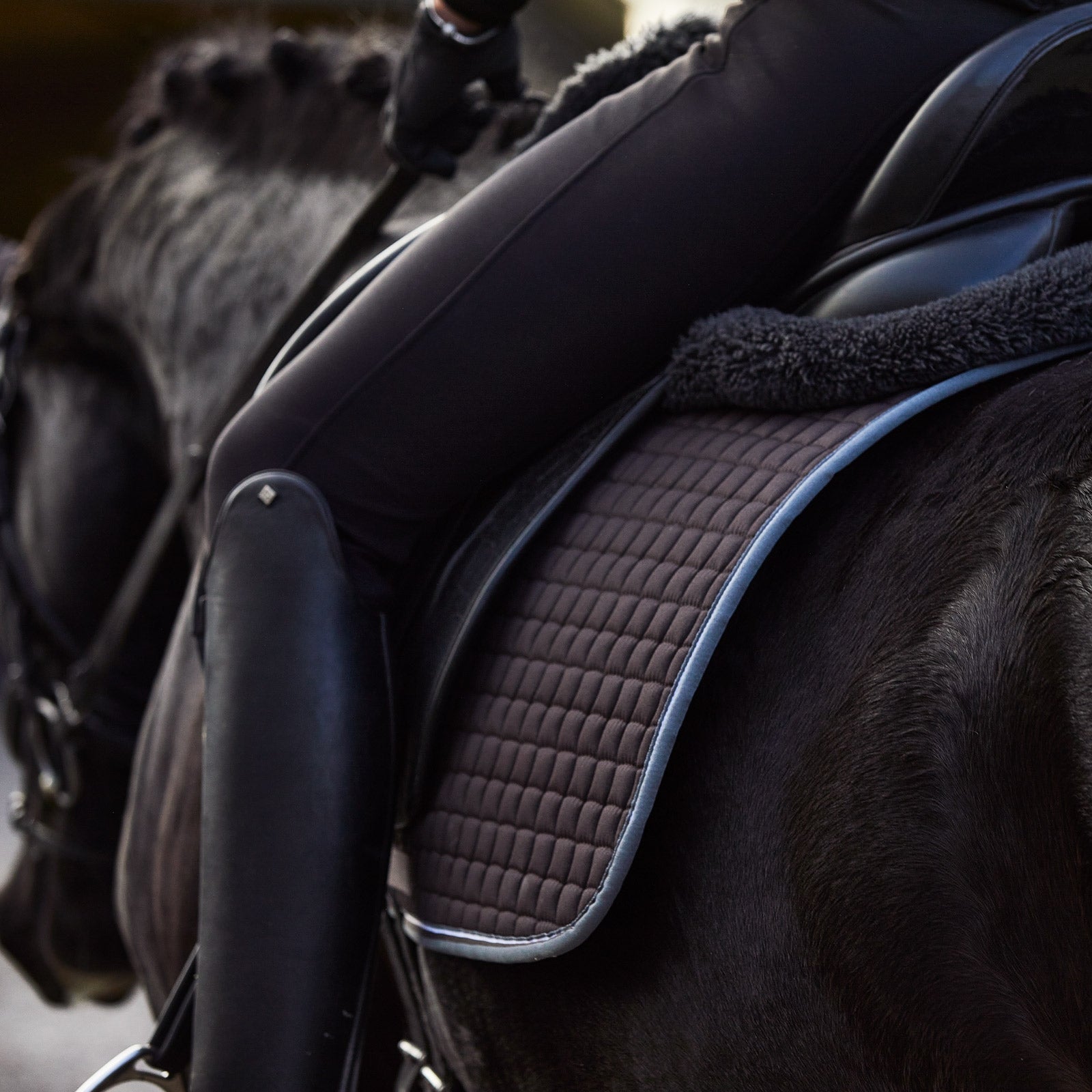 Horze Adepto Dressage Saddle Pad Saddle Pads