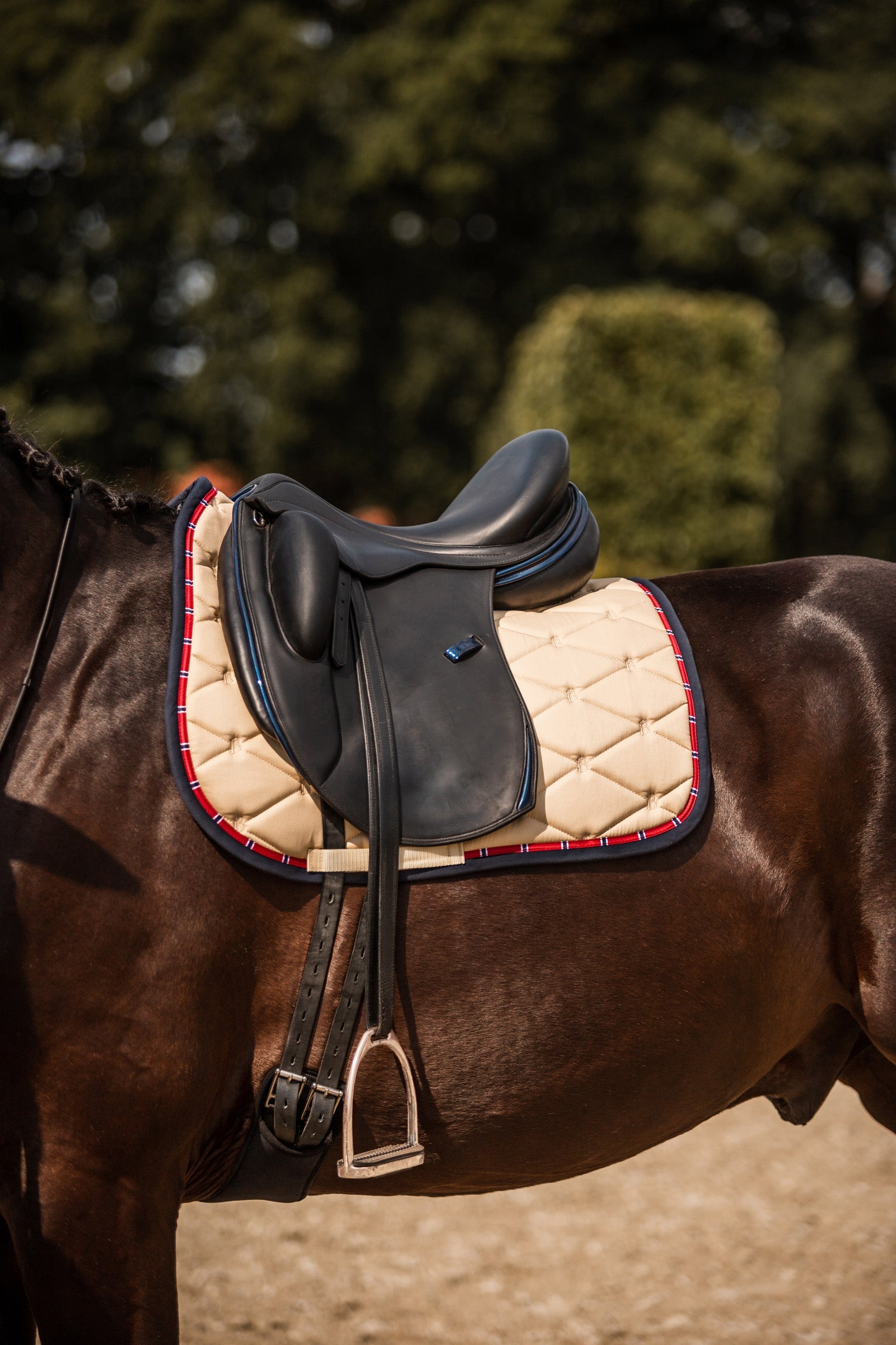 B Vertigo Amory Dressage Saddle Pad with Monogram Embroidery Saddle Pads