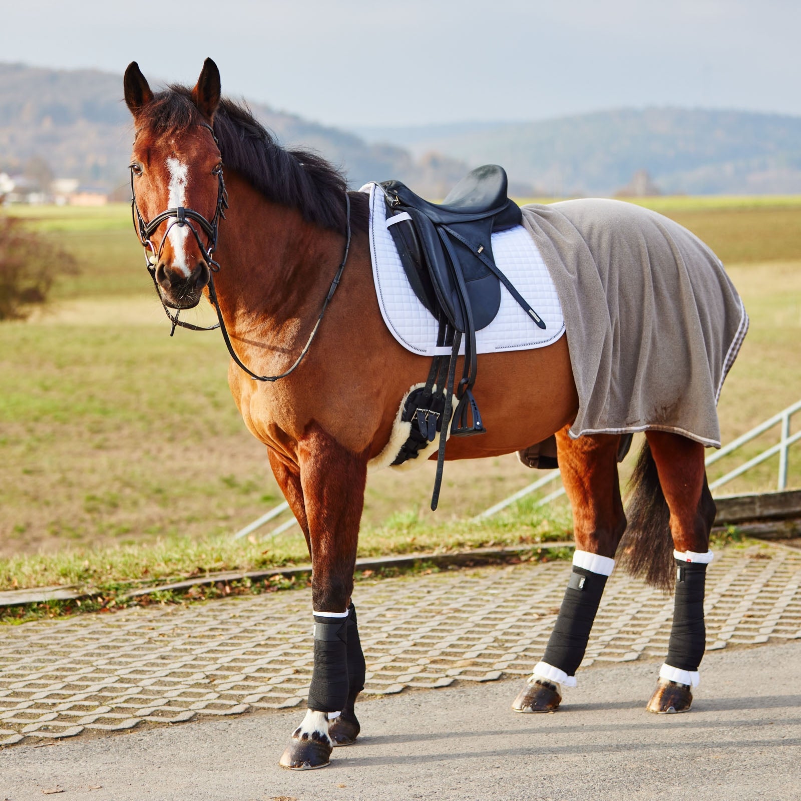 Horze Leg Wraps, back Leg Protection & Hoof Protection for Horses