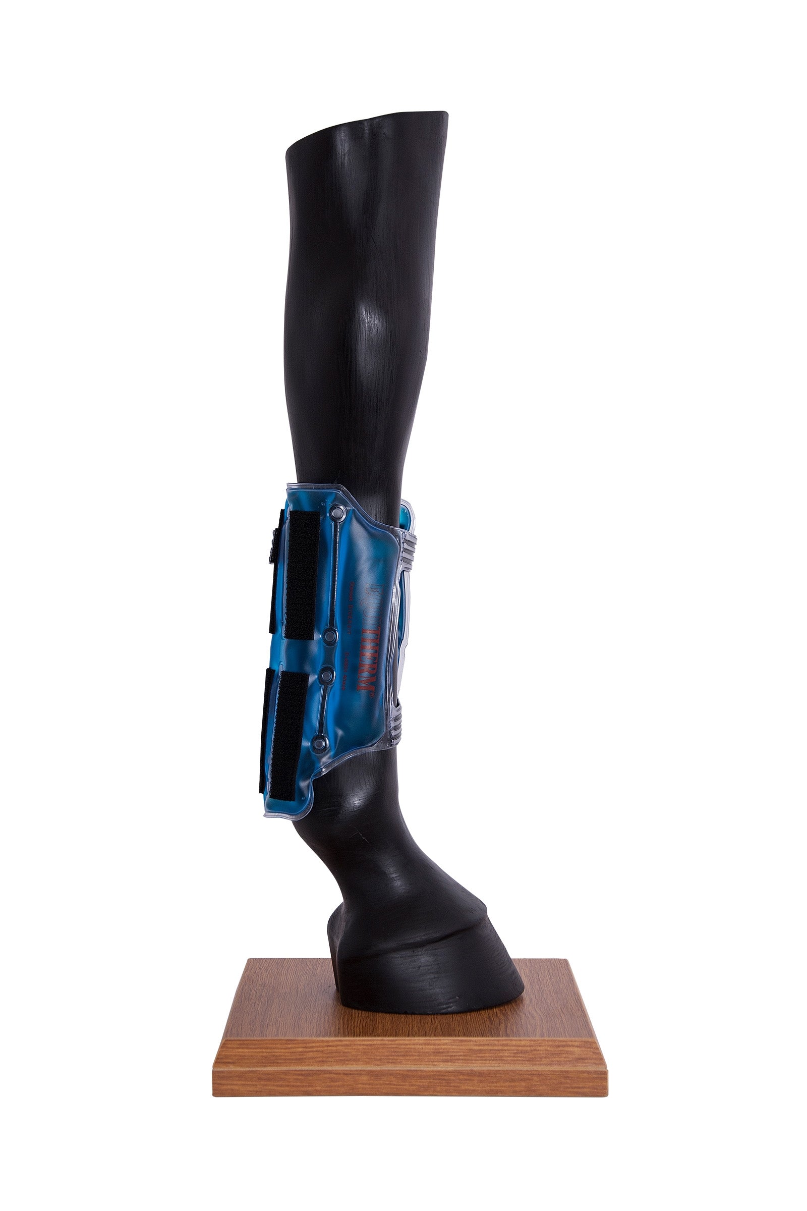 Stassek Equitherm Thermal Wrap do chłodzenia i ogrzewania bez wody Leg Protection & Hoof Protection for Horses