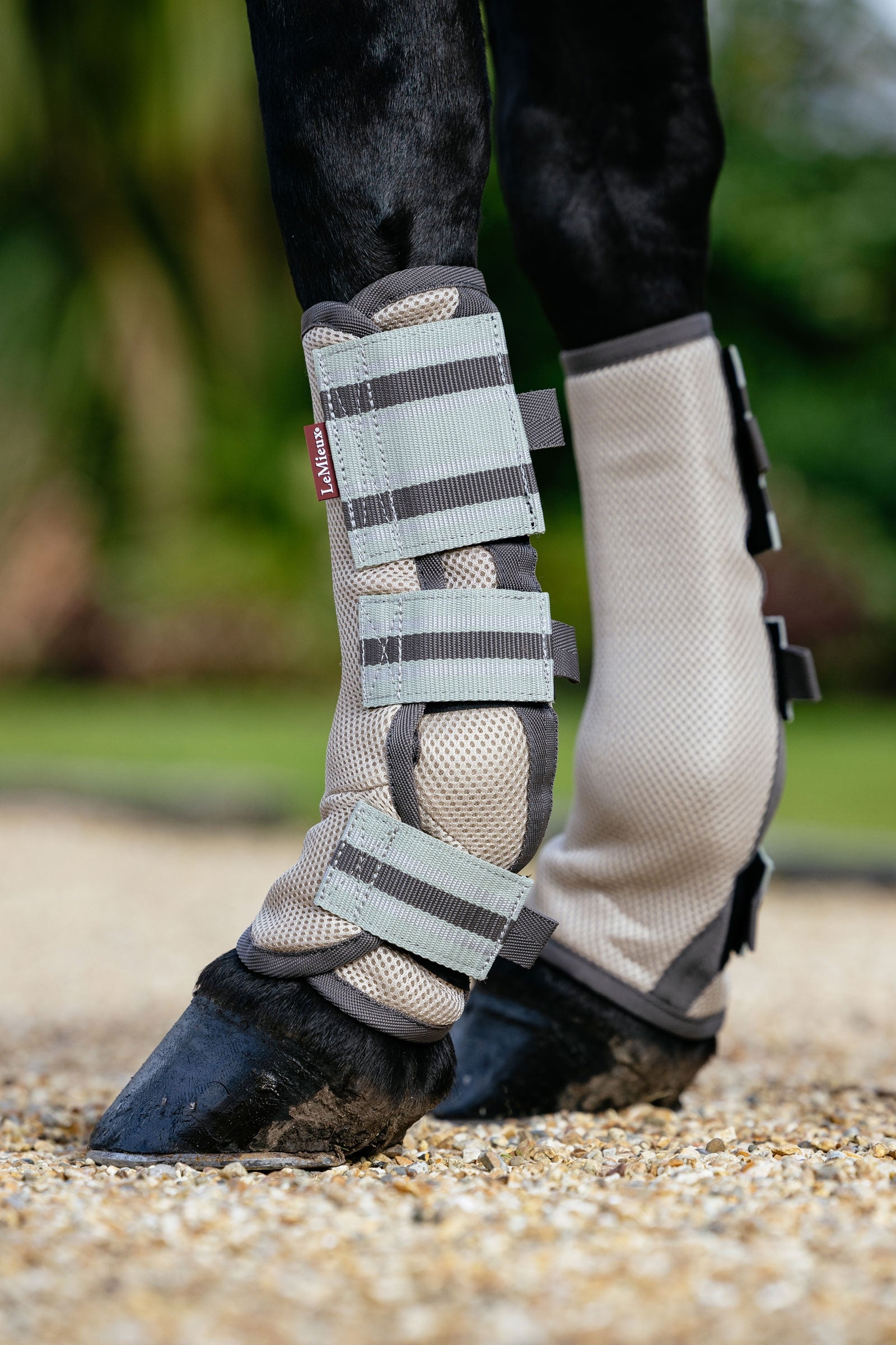 LeMieux Arika Mesh Ochraniacze przeciw muchom (Zestaw 4 szt.) Ochrona koni przed owadami