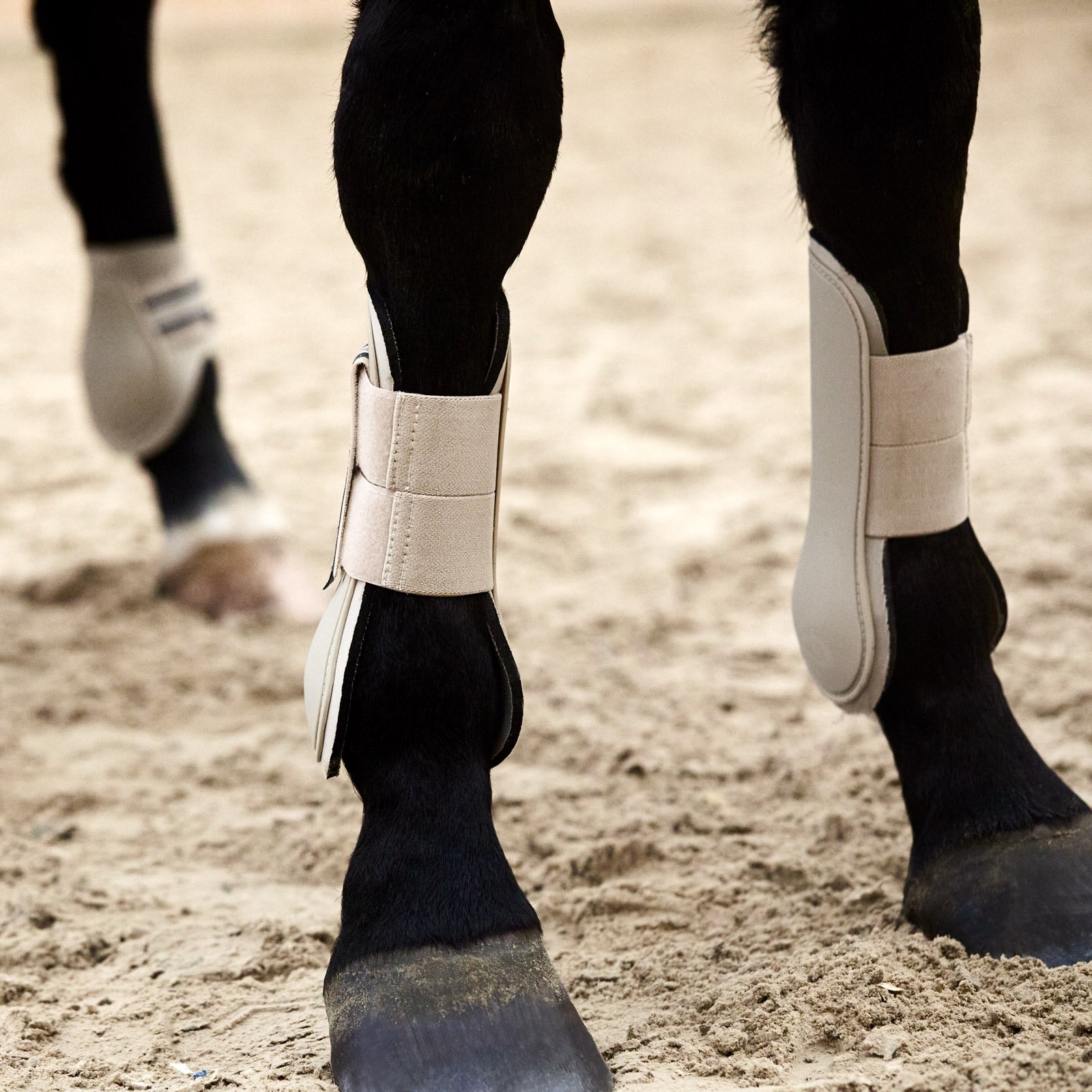 Horze Adepto Tendon Boots Leg Protection & Hoof Protection for Horses