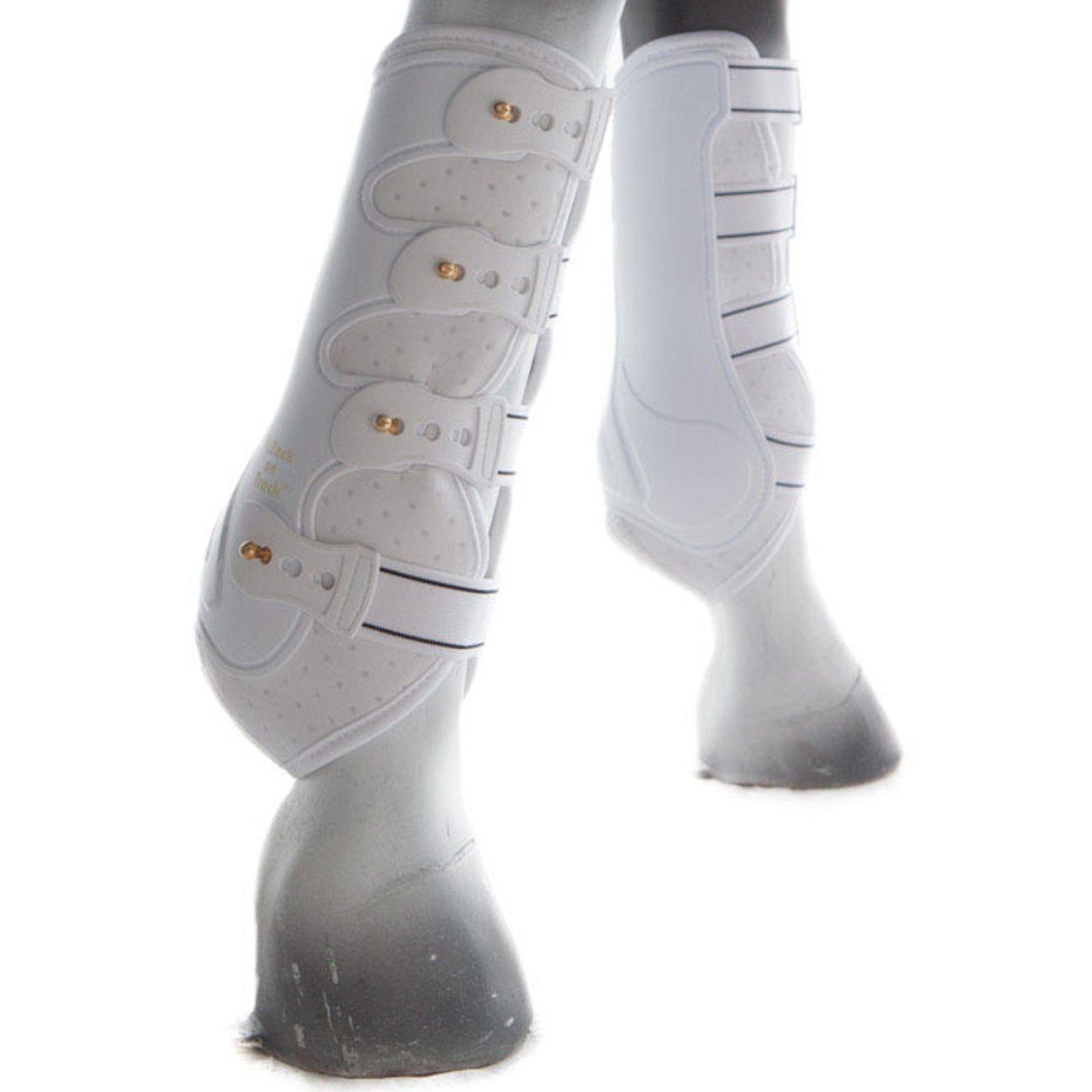 Back on Track Ochraniacze do jazdy Royal, przednie Leg Protection & Hoof Protection for Horses
