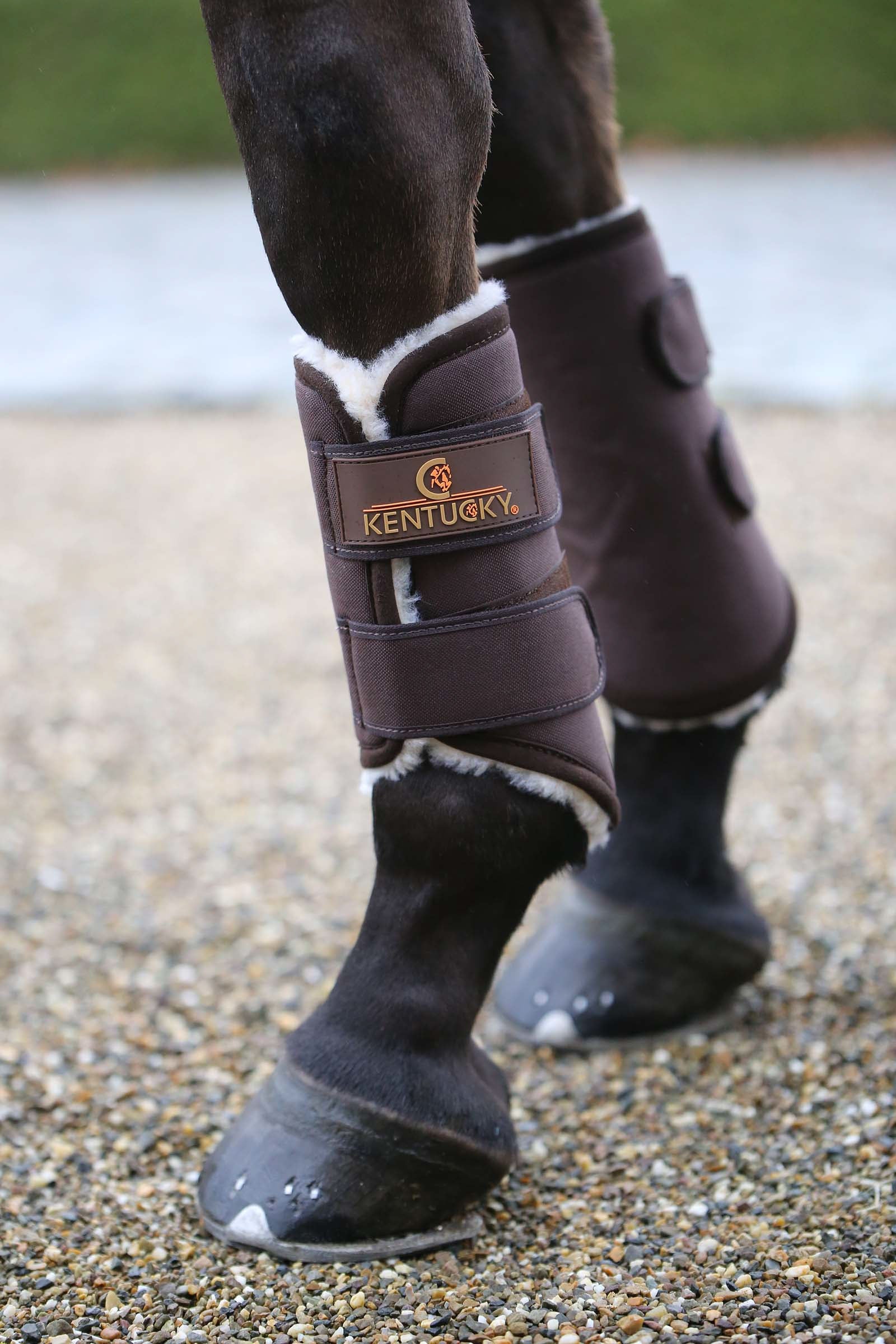 Kentucky Horsewear Buty Solimbra Turnout, przód Leg & Hoof Protection