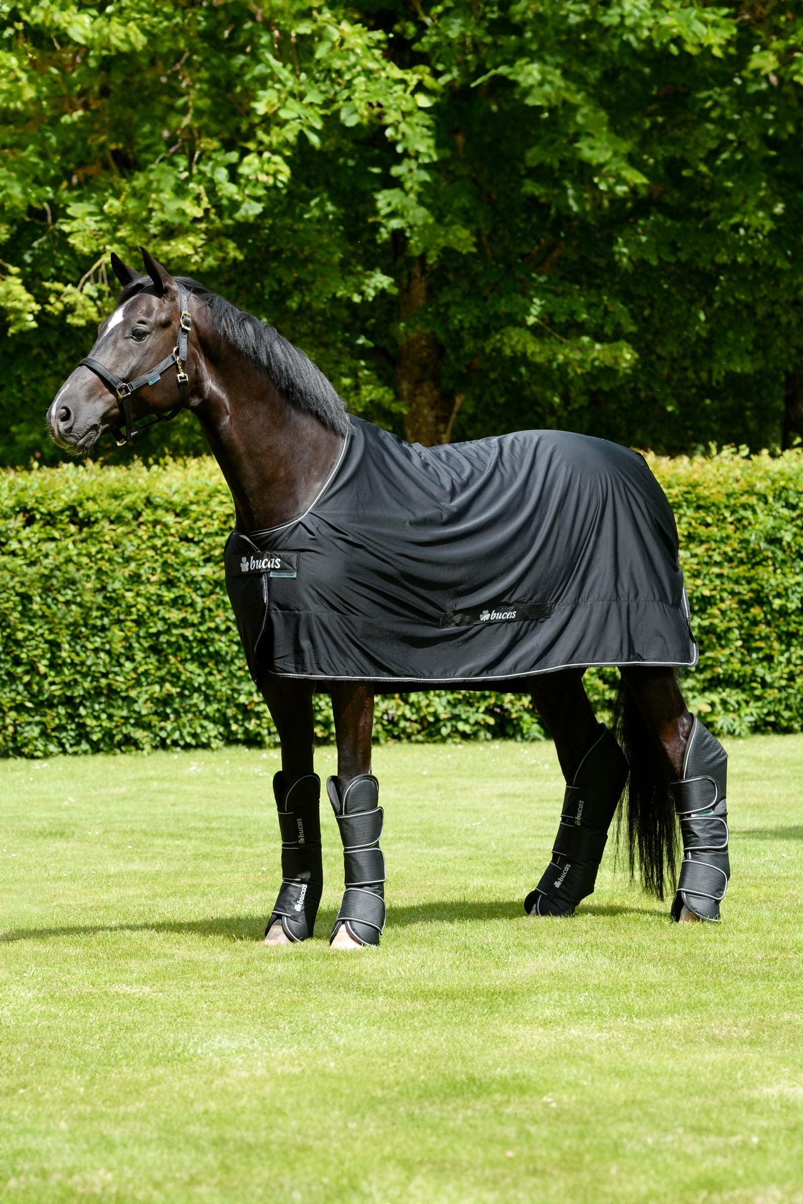 Bucas Freedom Travel Boots Leg Protection & Hoof Protection for Horses