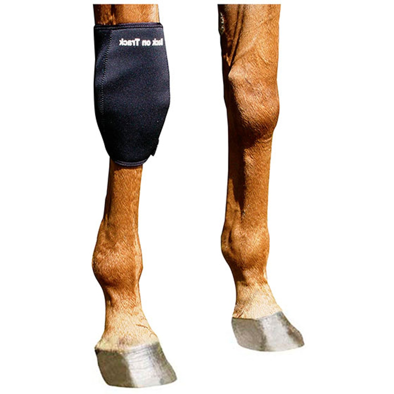 Back on Track Ochraniacz na stawy Back on Track, prawy Leg Protection & Hoof Protection for Horses