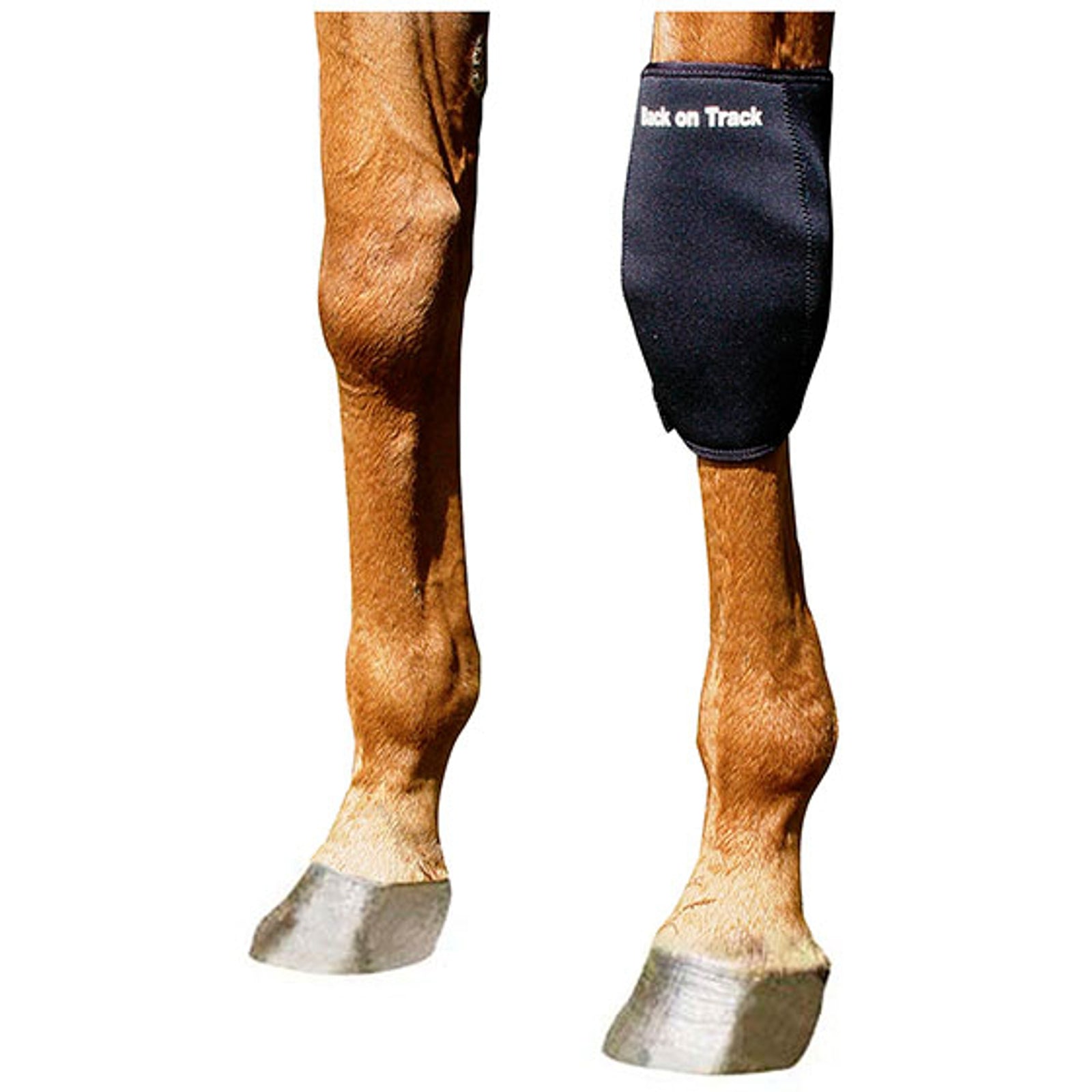 Back on Track Ochraniacz na nadgarstek Back On Track, lewy Leg Protection & Hoof Protection for Horses
