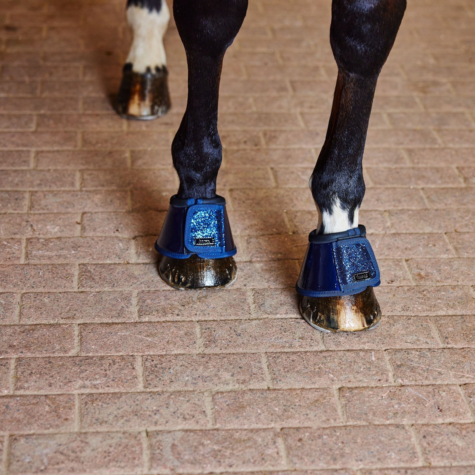 Horze Bell Boots with Glitter Leg Protection & Hoof Protection for Horses