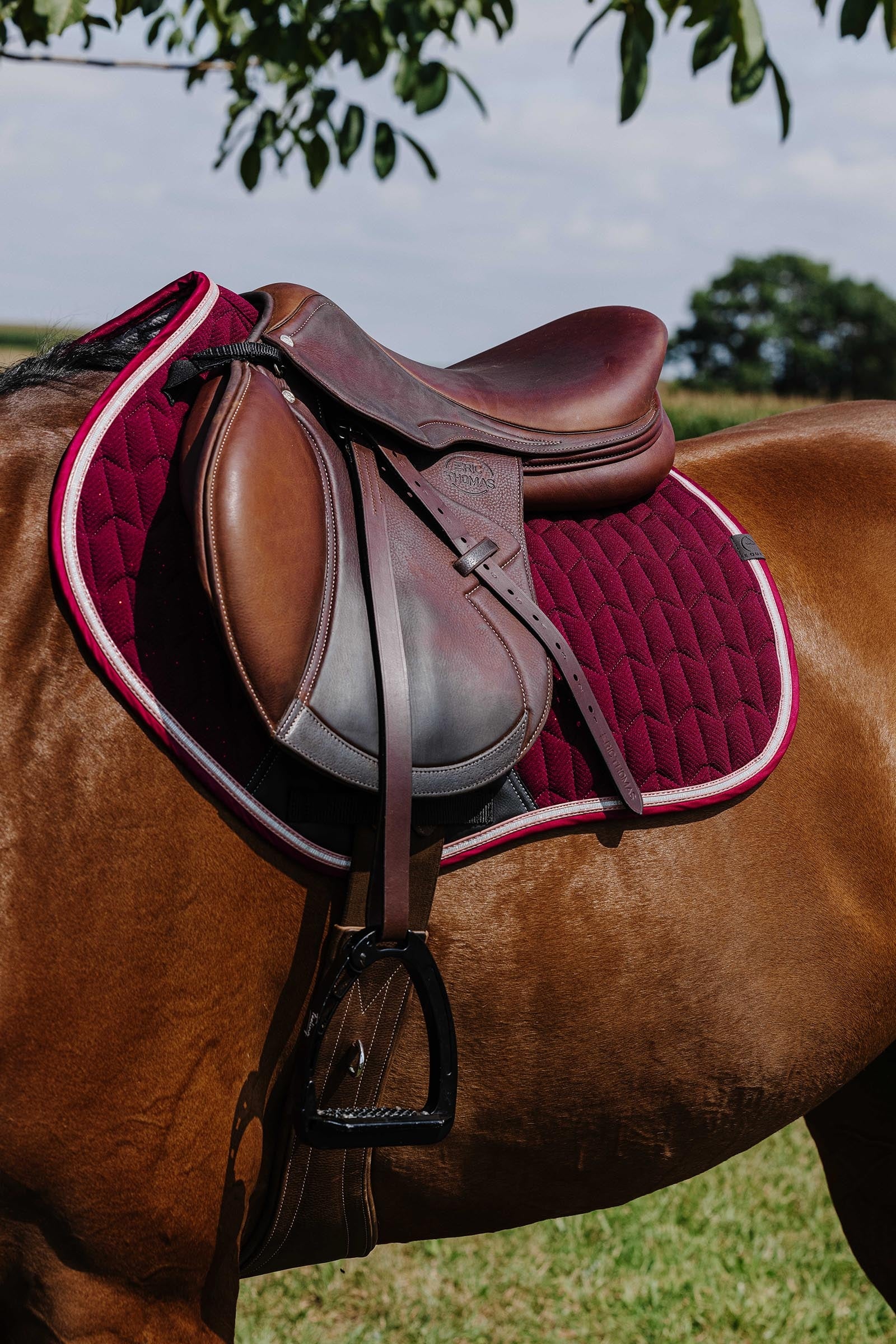 Equi Theme EQUITHÈME Eclat Saddle Pad Saddle Pads