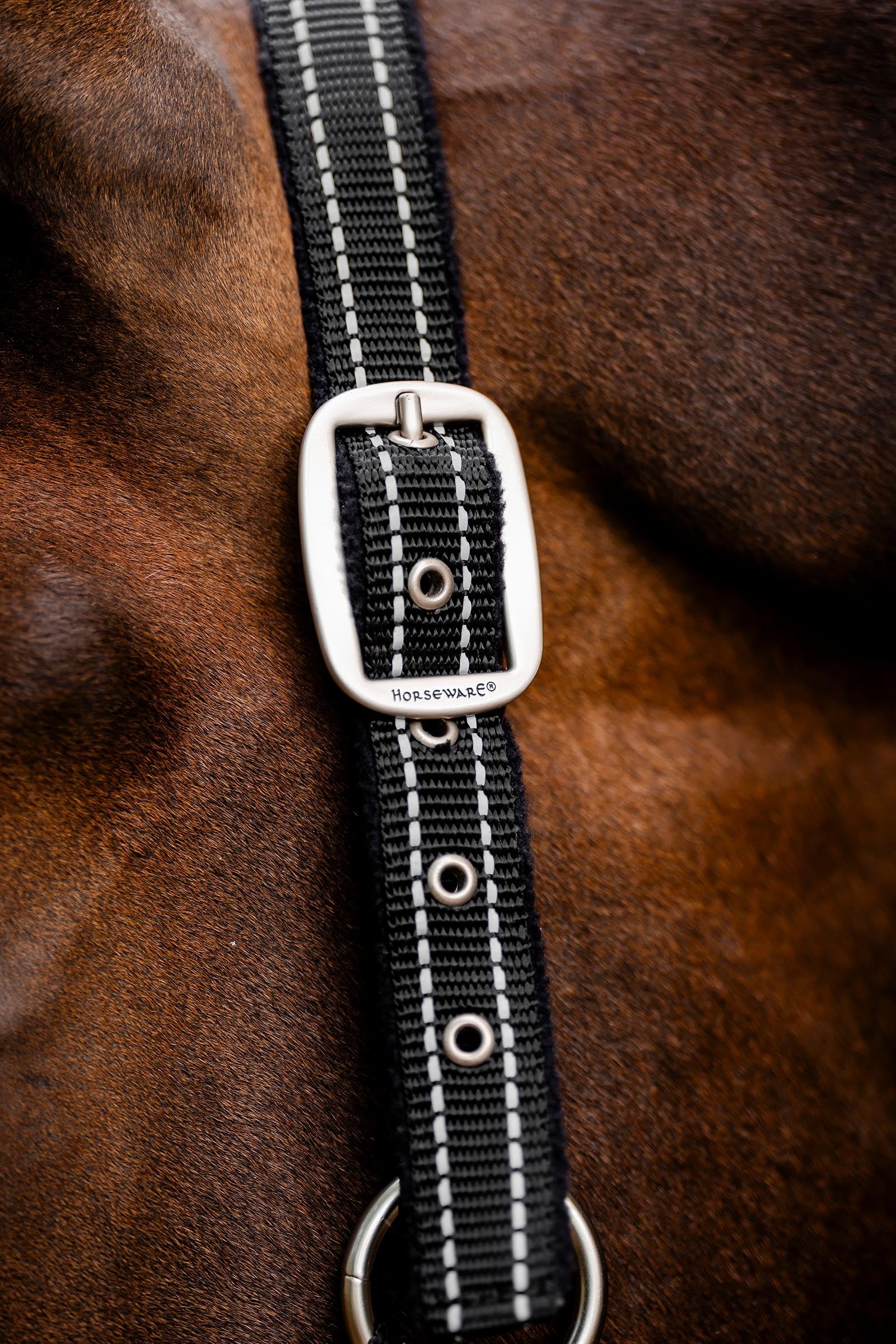 Horseware FieldSafe Headcollar Halters & Leads
