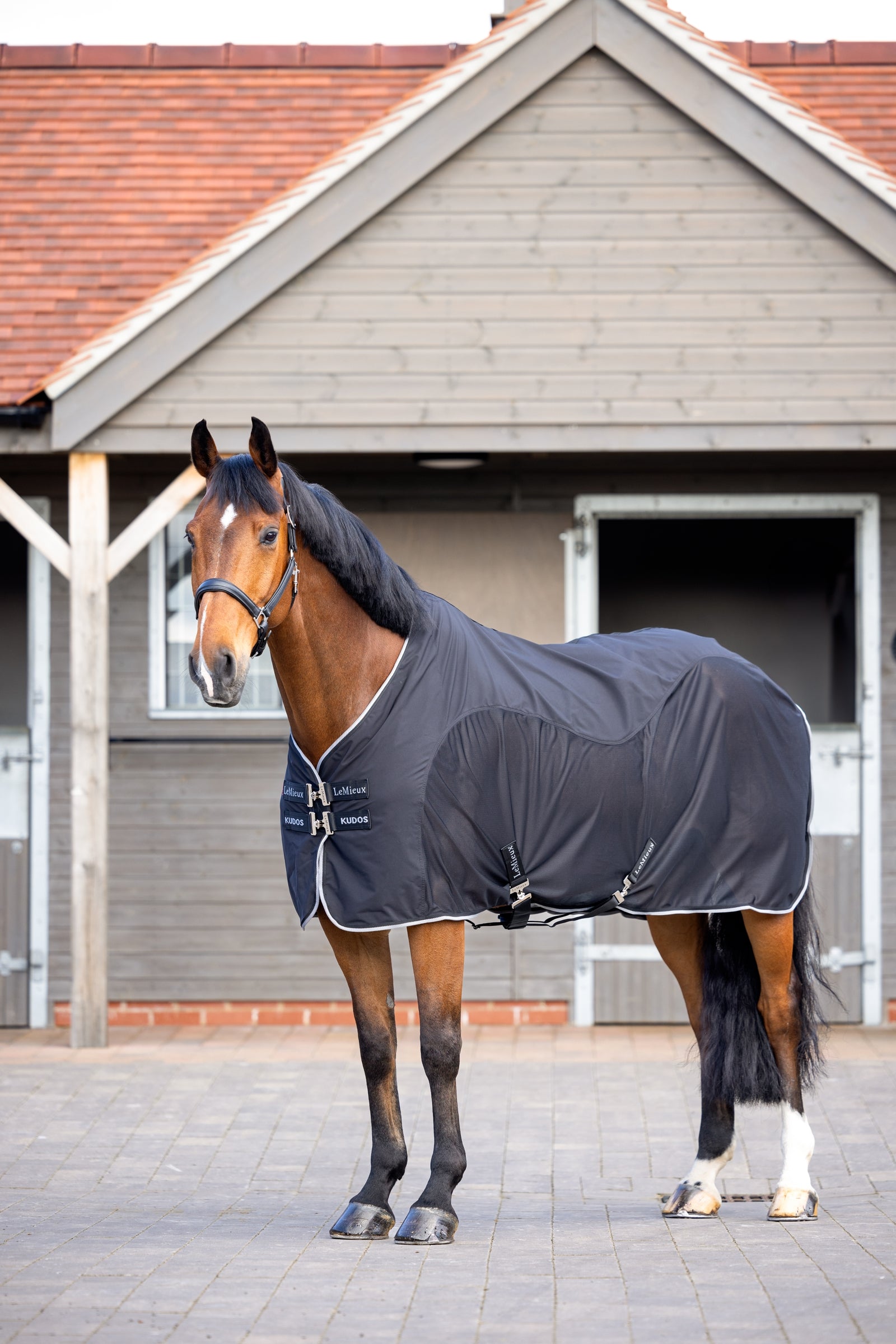 LeMieux Kudos Hybrid Cooler Derki