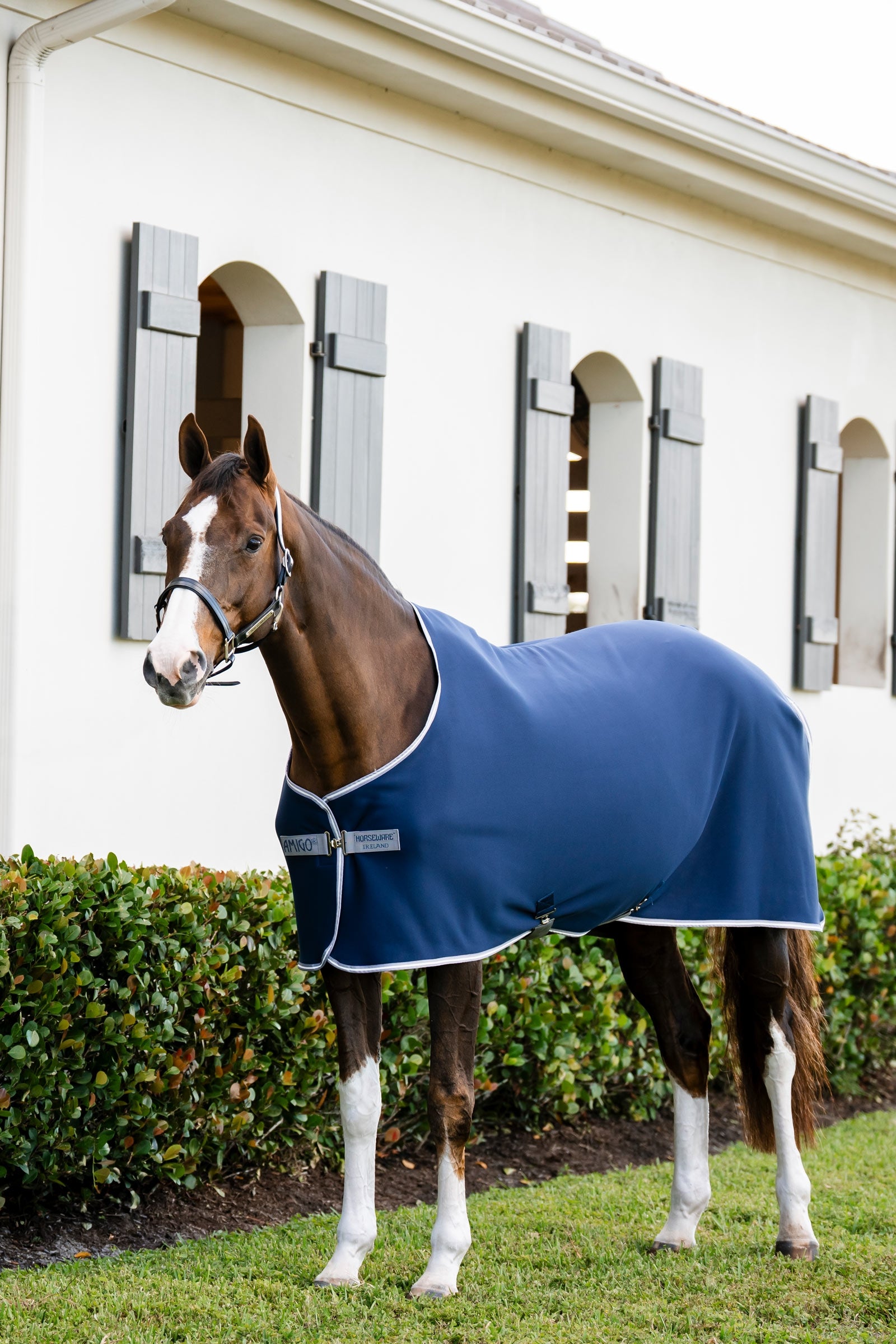 Horseware Amigo derka osuszająca jersey Derki