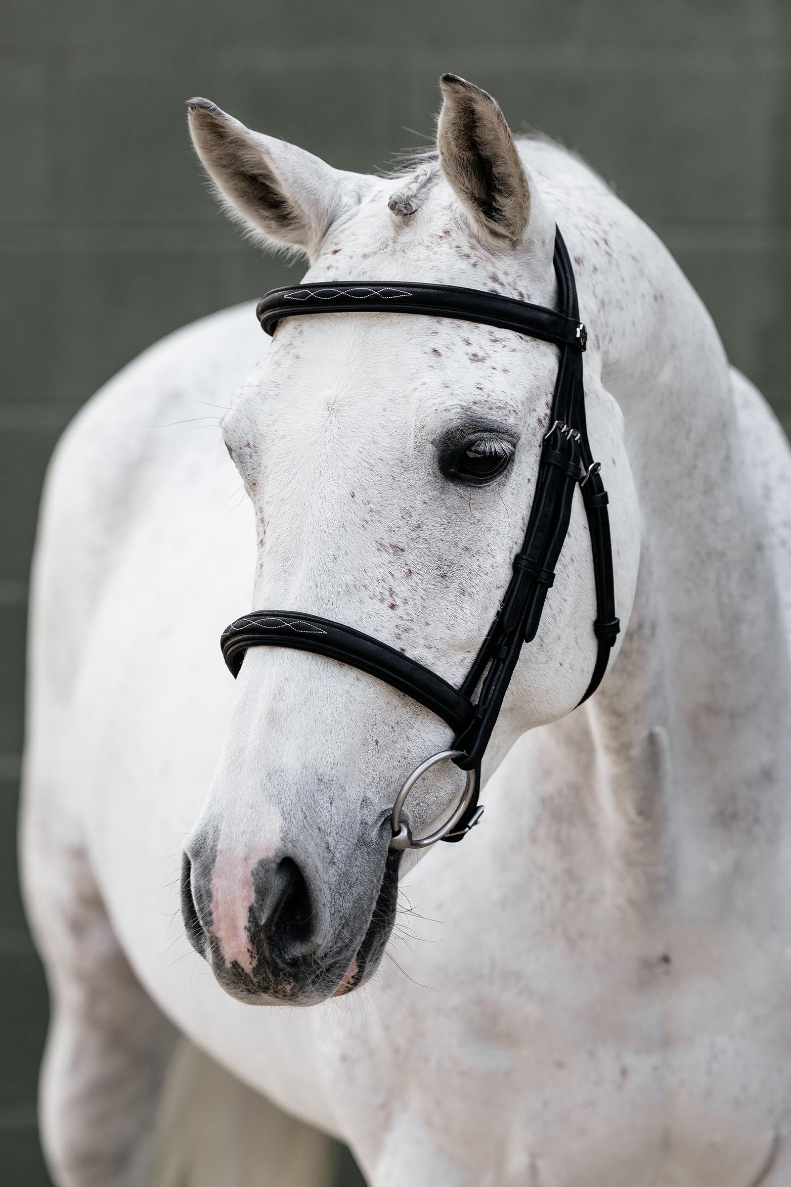 LeMieux Classique Cavesson Bridle Horse Training
