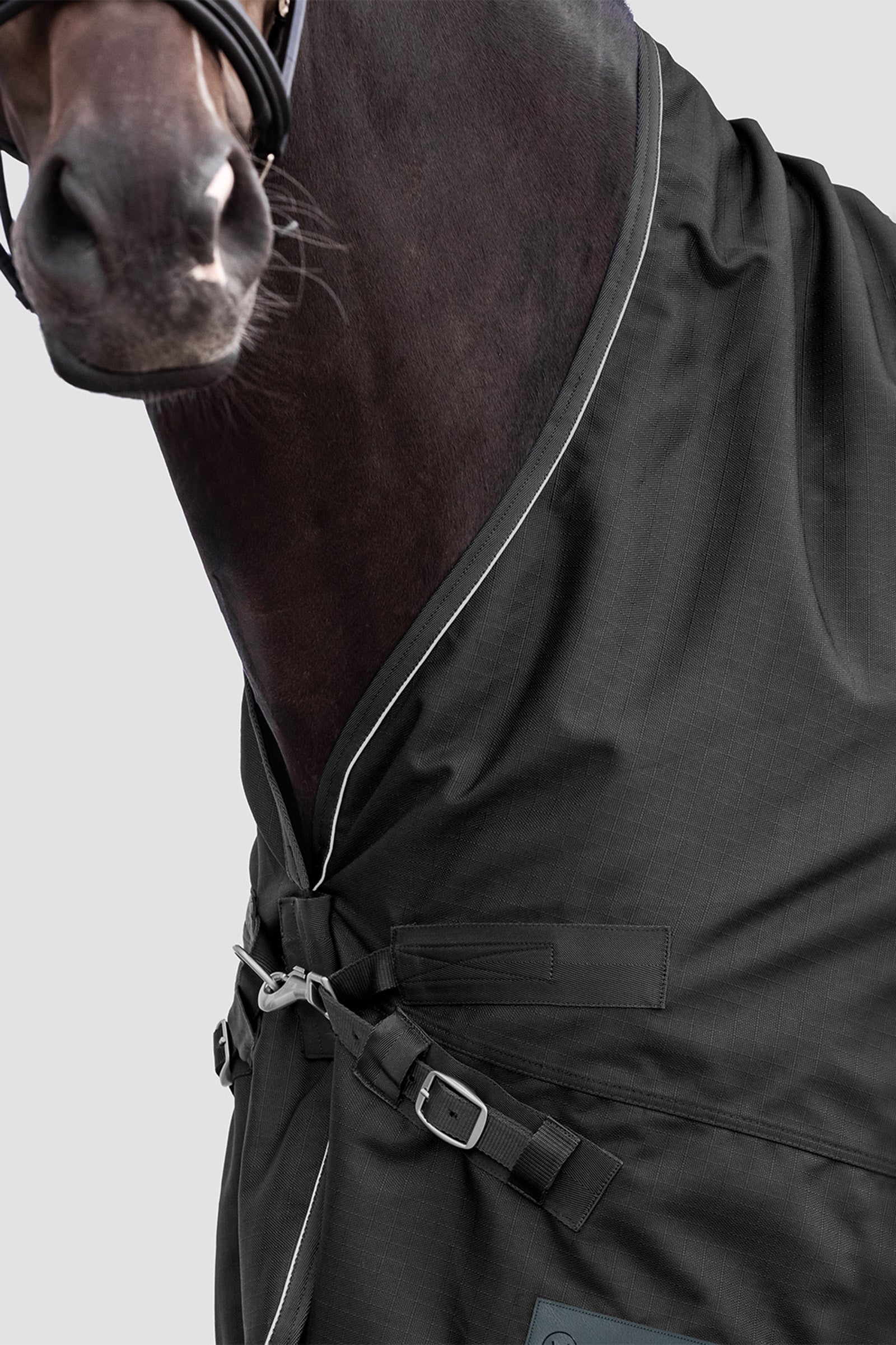 Waldhausen Outdoor Rug Scandic High Neck 100 g Horse Rugs