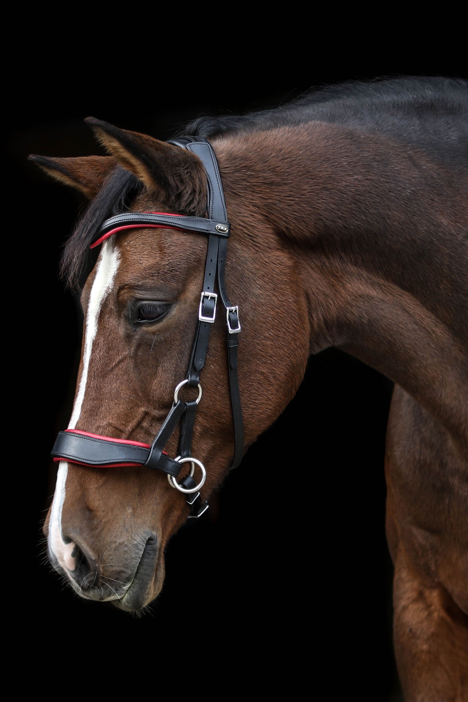 F.R.A. Freedom Riding Articles Aruba Bitless Bridle With Reins (System 3) Bridles & Reins