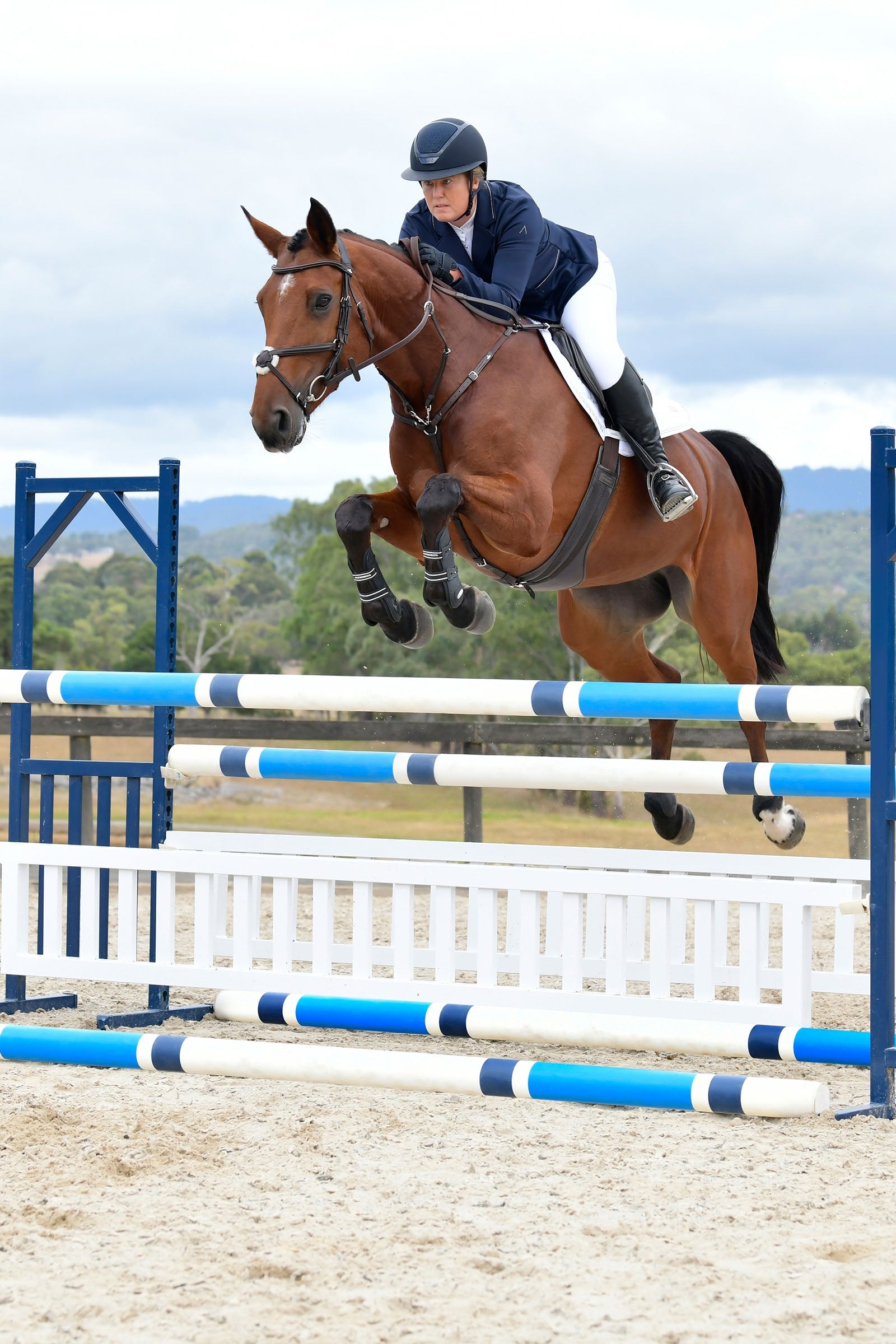Collegiate Comfitec Opulux Plain Padded Grackle Bridle Bridles & Reins