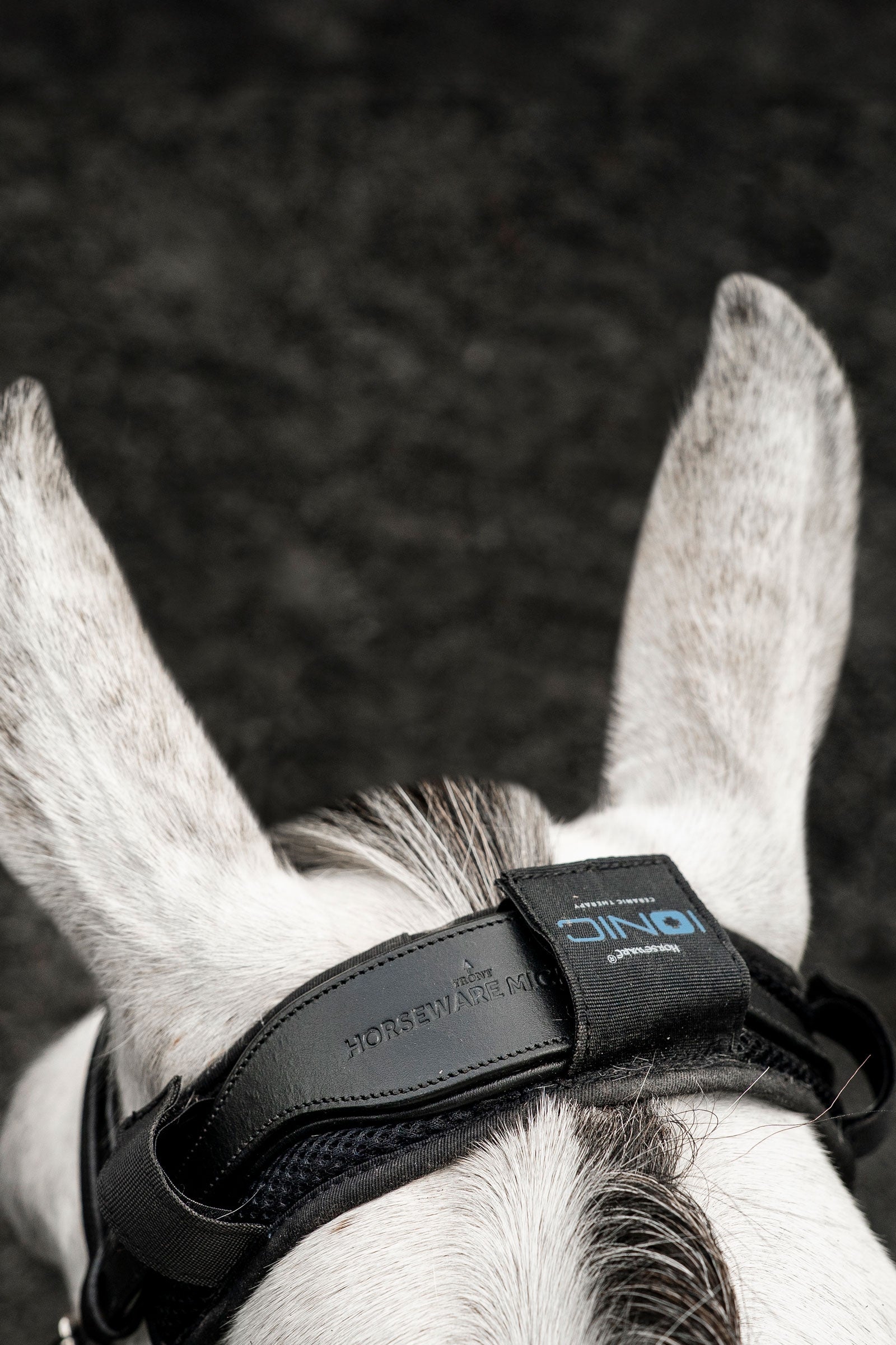 Horseware Ionic ochraniacz potylicy Ochrona koni przed owadami