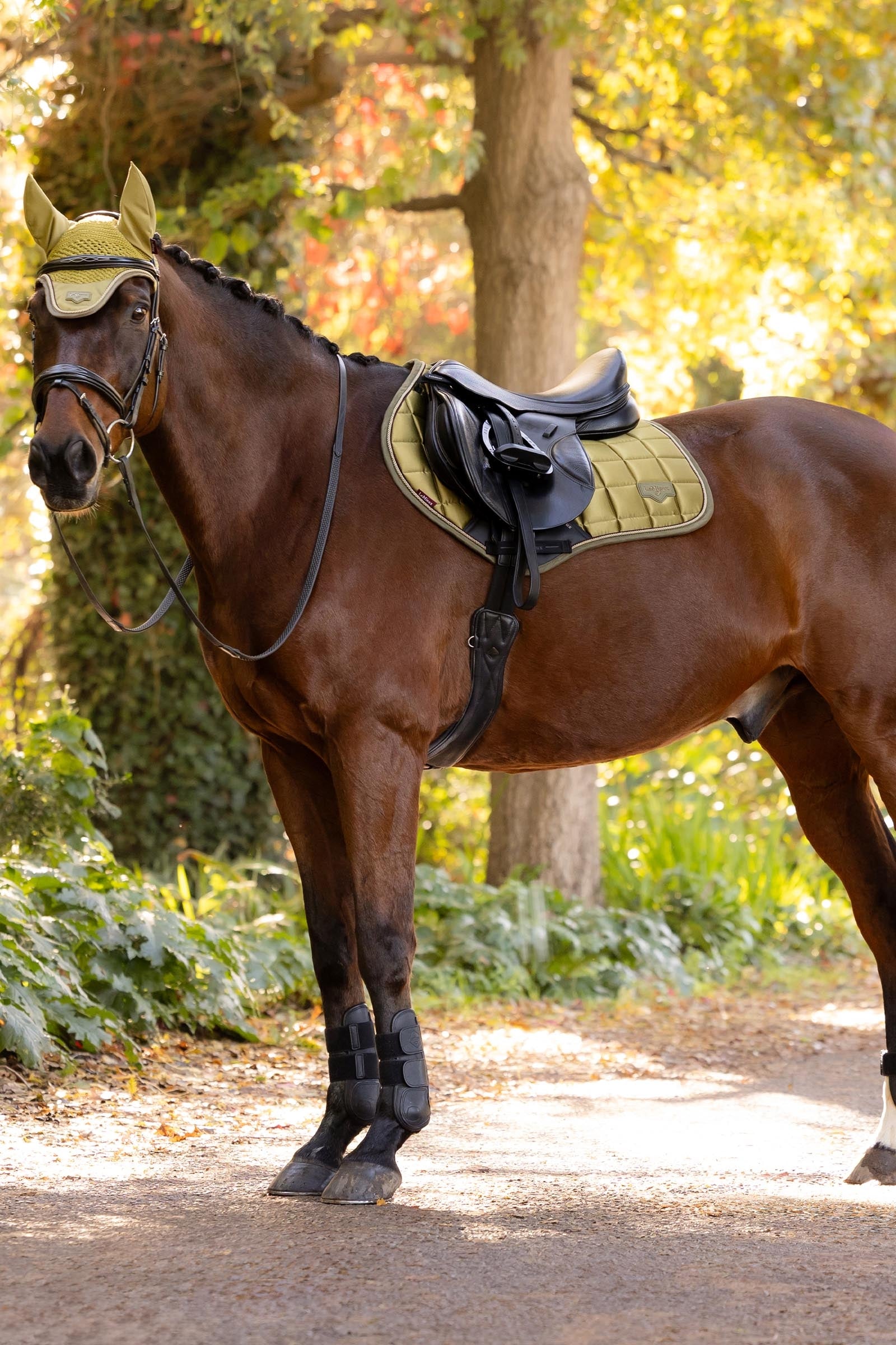 LeMieux Lemieux Loire Classic Close Contact Square Saddle Pad Saddle Pads