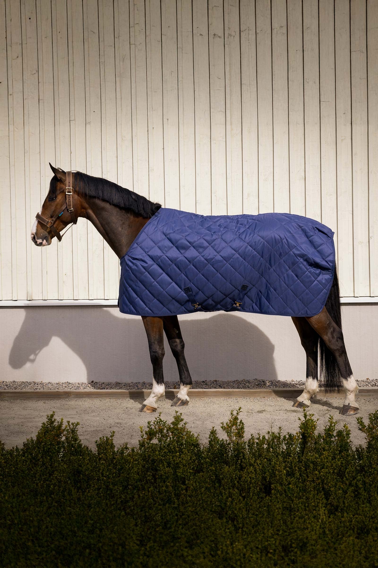 Bucas Cosy Stable Rug Derki