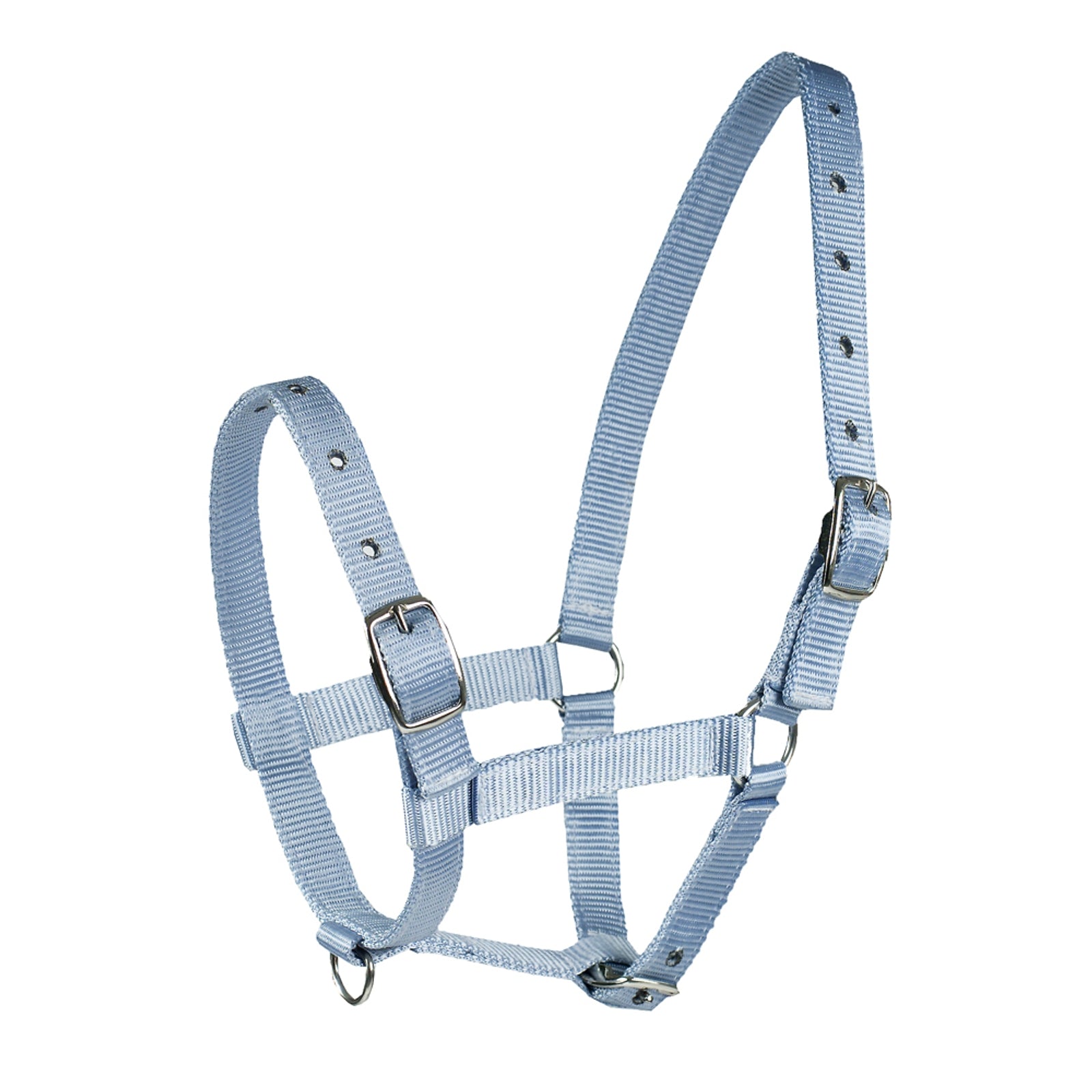 Horze Kantar dla źrebaka Kantary i uwiązy