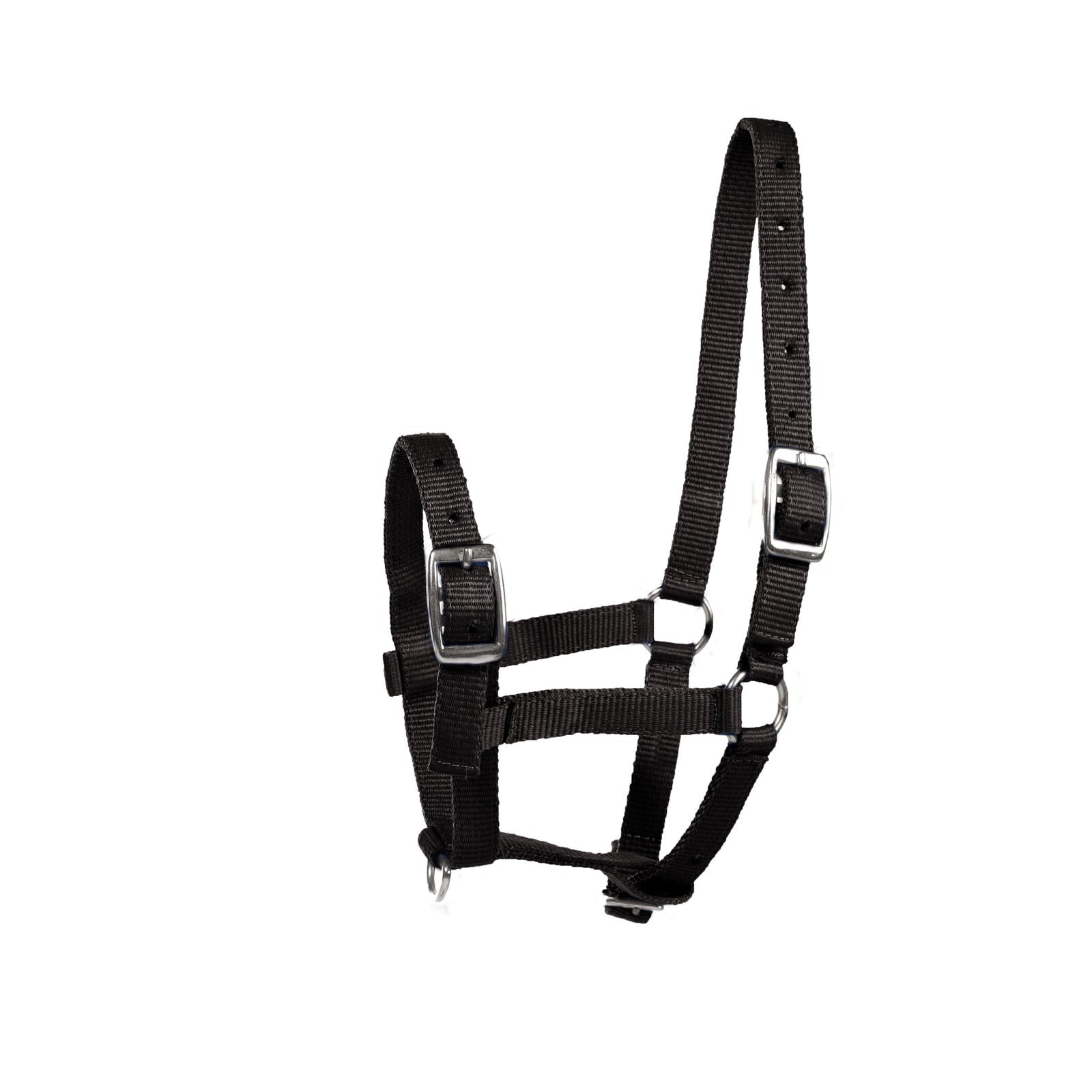 Horze Foal Halter Halters & Leads