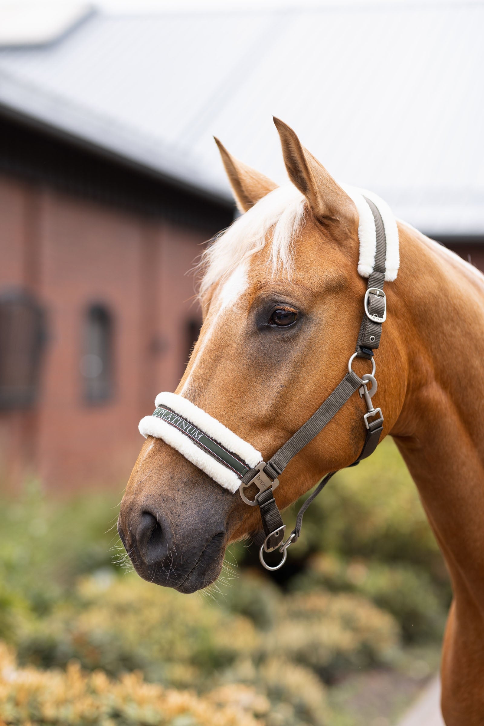 Horze Howard Halter Halters & Leads