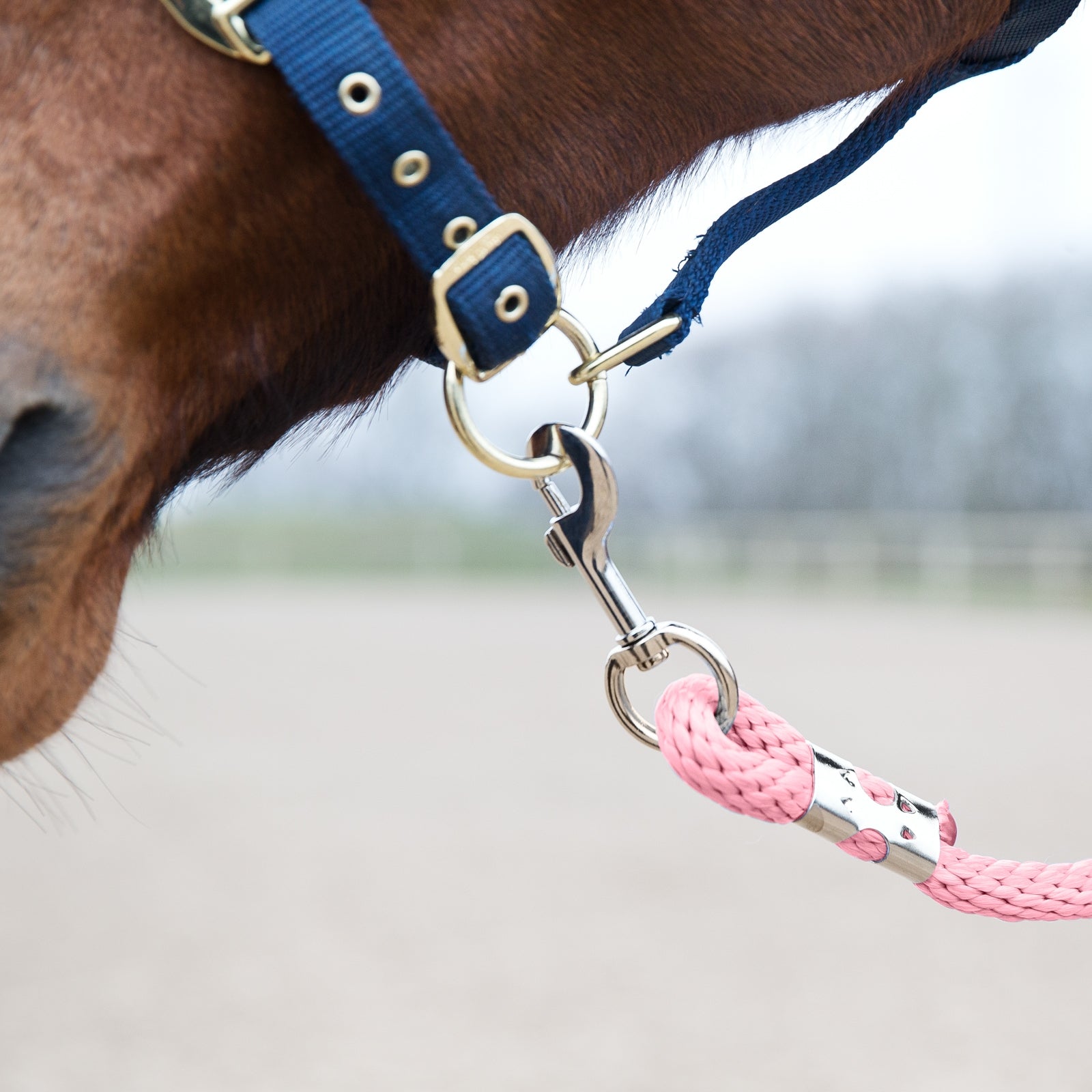 Horze Lead, Snap Buckle Halters & Leads