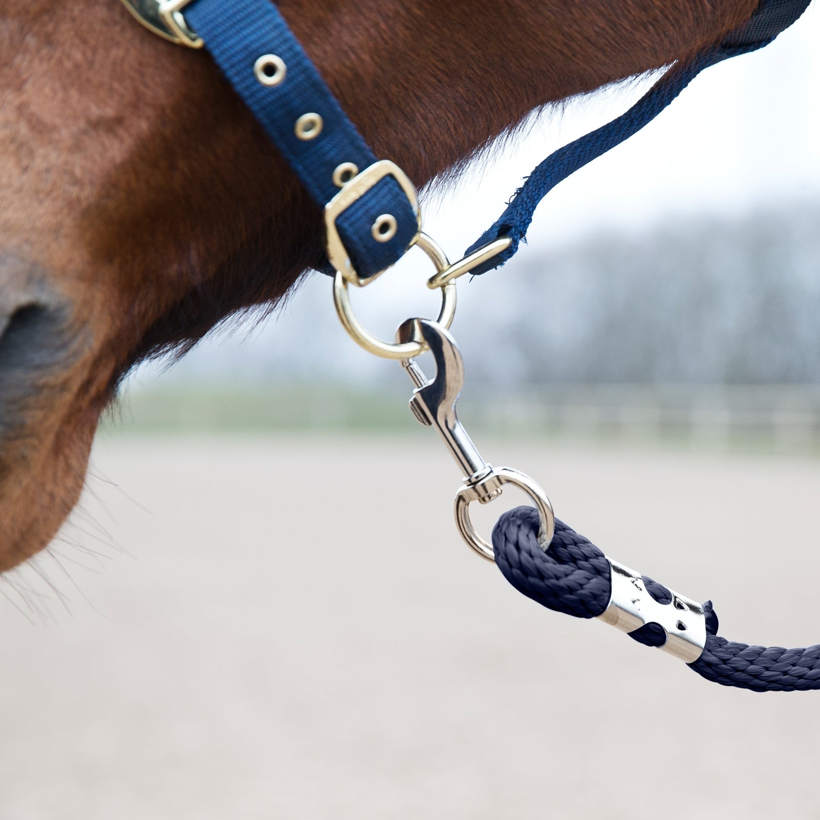 Horze Lead, Snap Buckle Halters & Leads