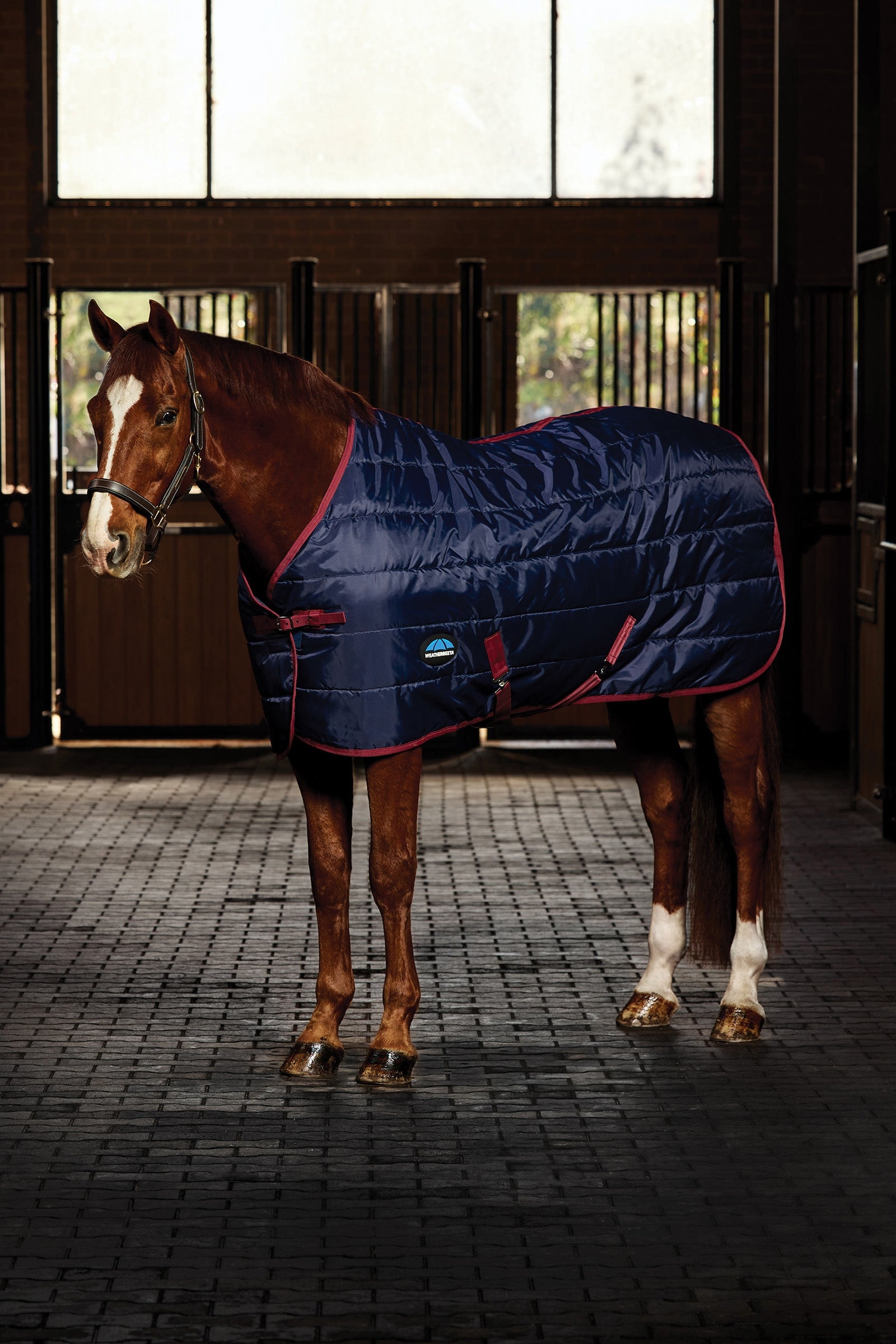 Weatherbeeta ComFiTec 210D Channel Quilt Stable Rug Standard Neck 220G Derki