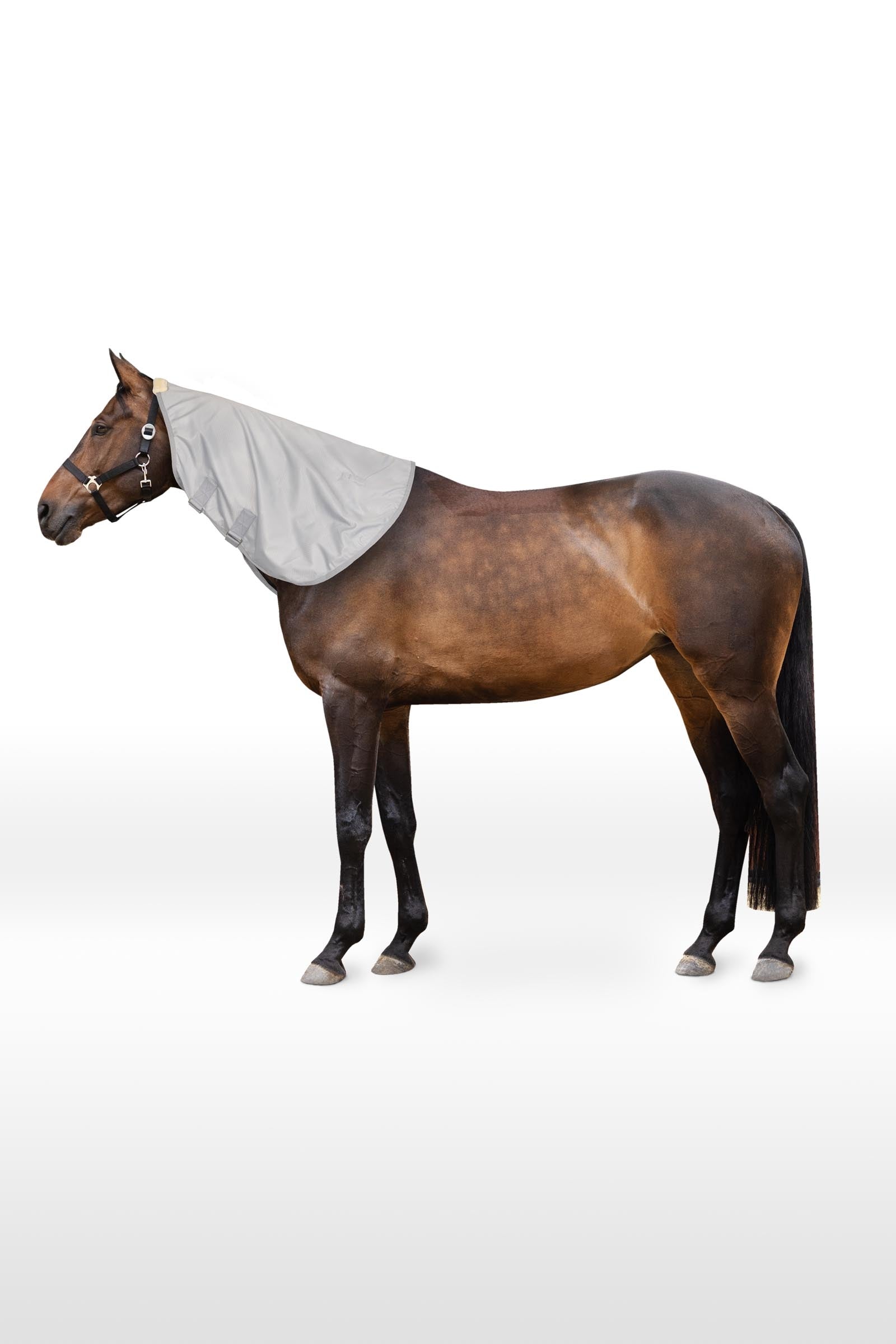 Horze Kaptur do derki Nevada 600D Derki