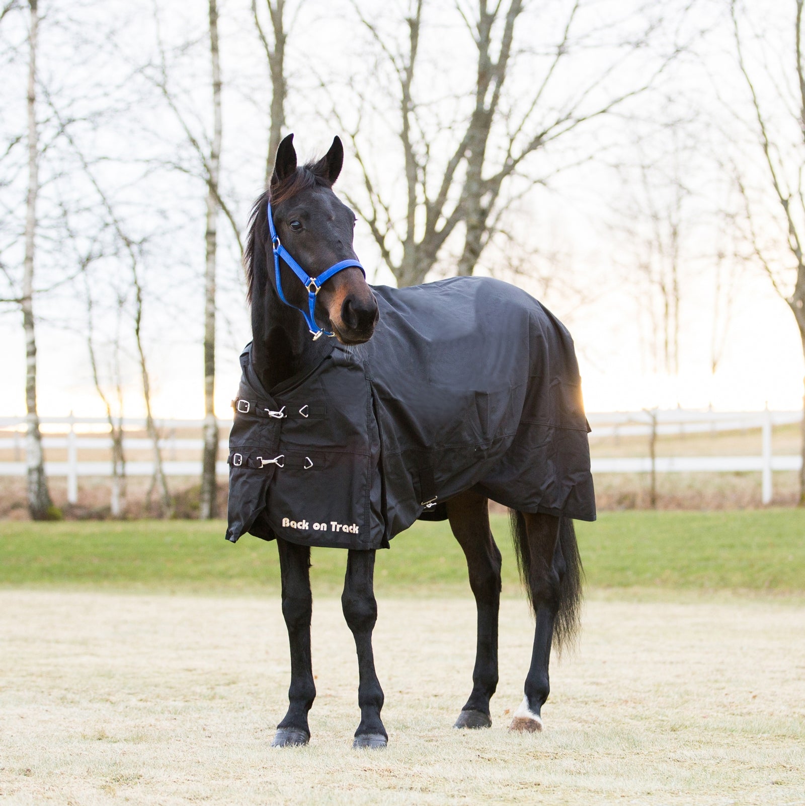 Back on Track Back On Track Rain Rug 1680D Derki