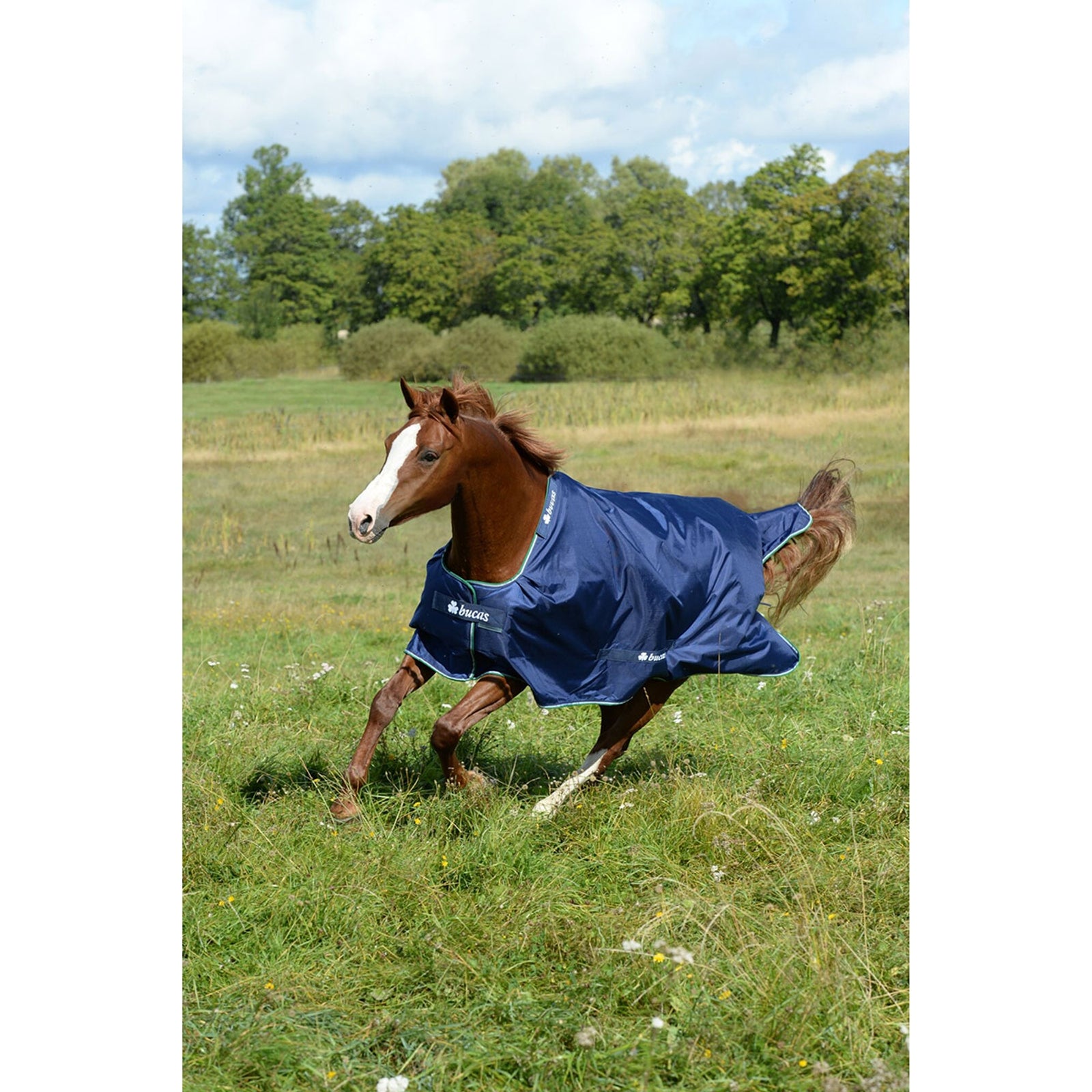 Bucas Smartex Medium Turnout blanket Horse Rugs