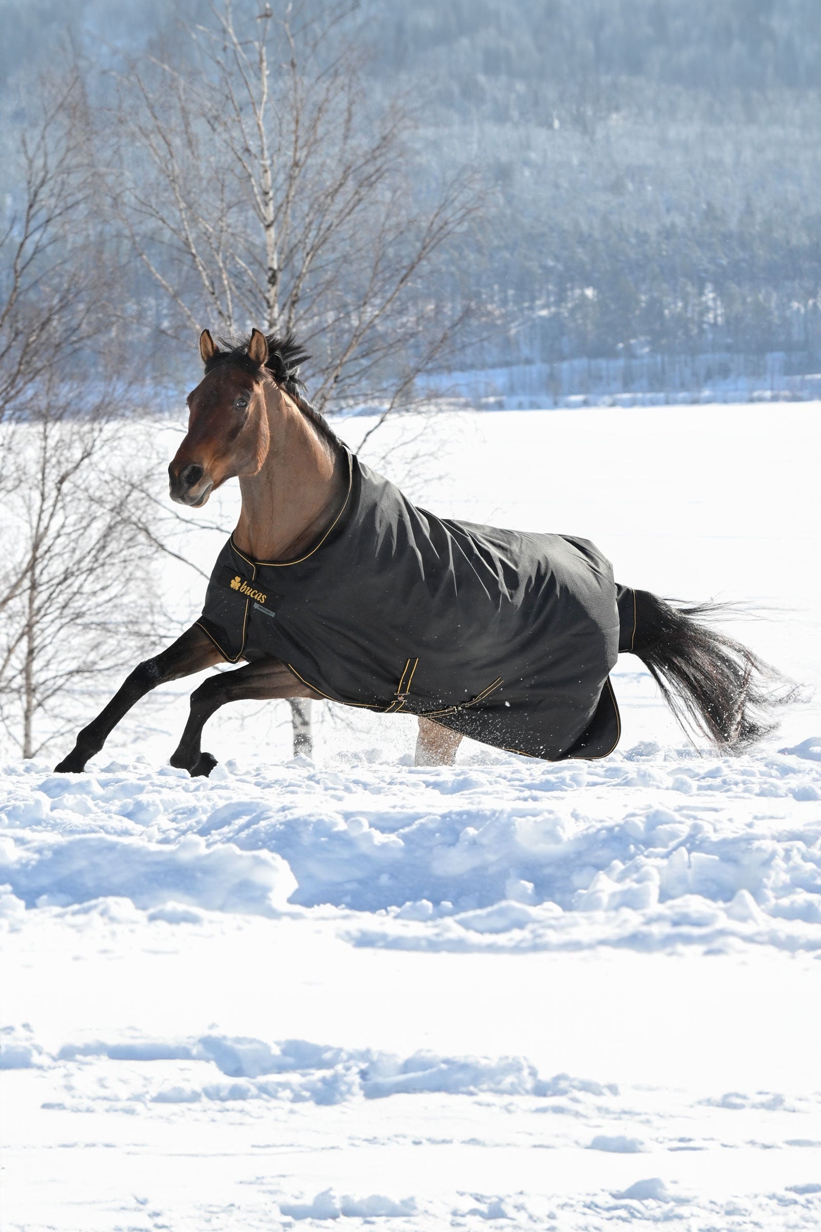 Bucas Irish Turnout Rug, 300g Horse Rugs