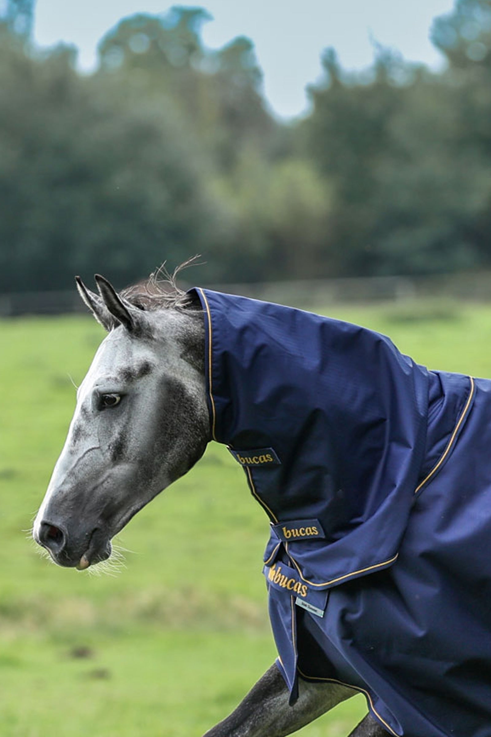 Bucas Irish Turnout szyjnik, 0g Derki