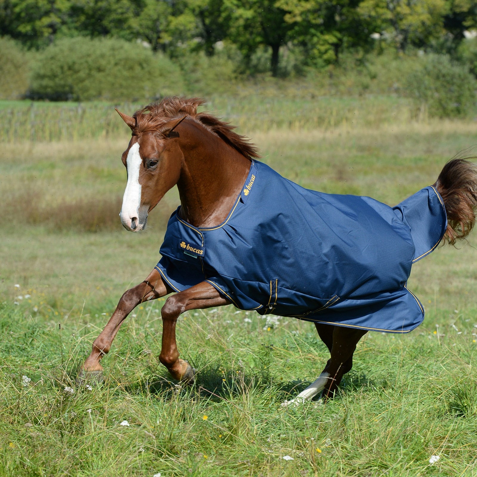 Bucas Irish Turnout Extra Pony Turnout Rug, 300g Derki