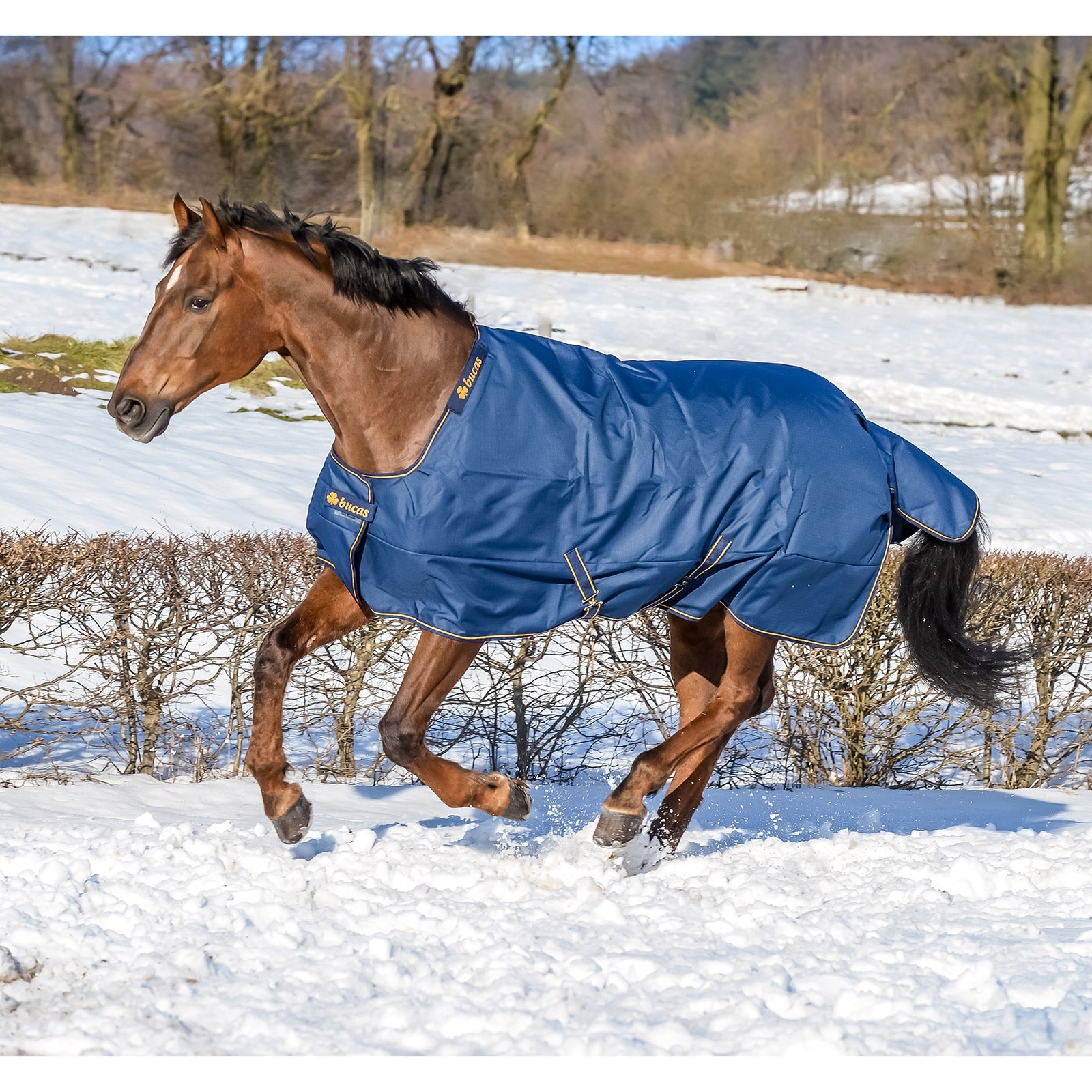 Bucas Irish Turnout Extra Pony Turnout Rug, 300g Horse Rugs