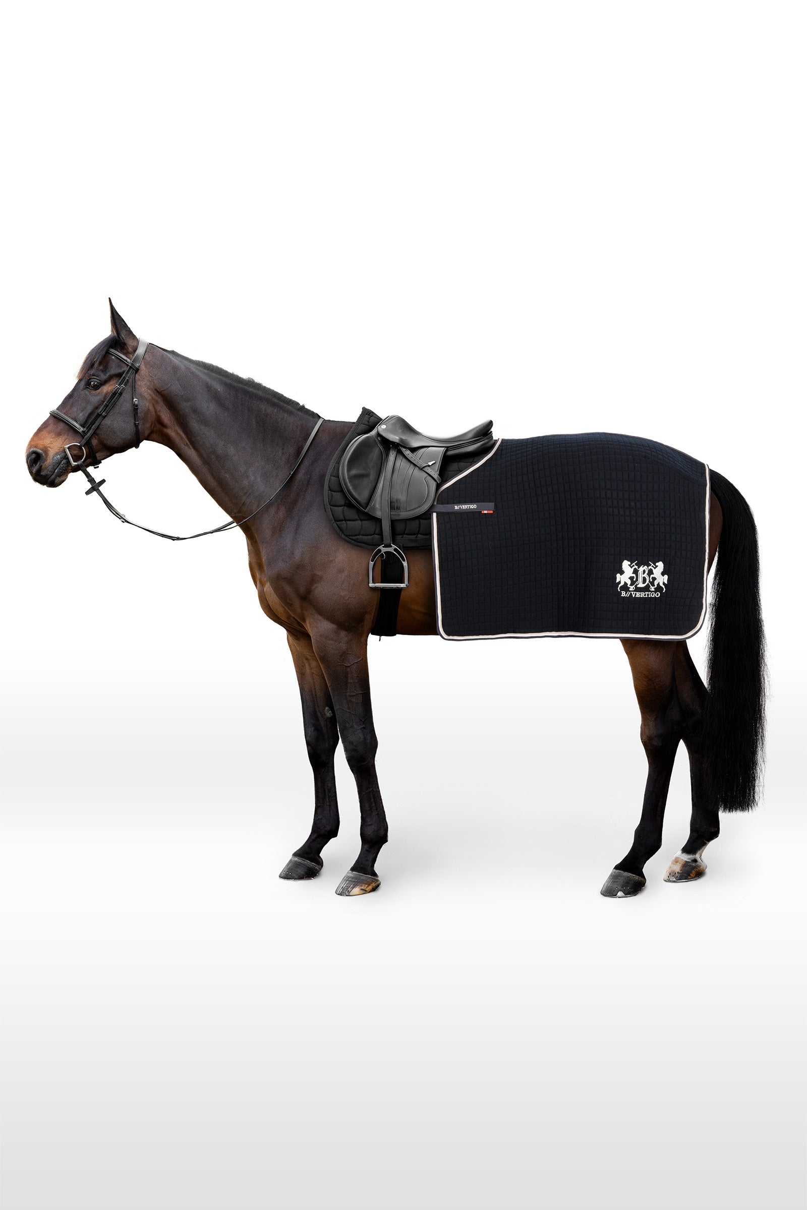 B Vertigo Concord Exercise Rug Horse Rugs
