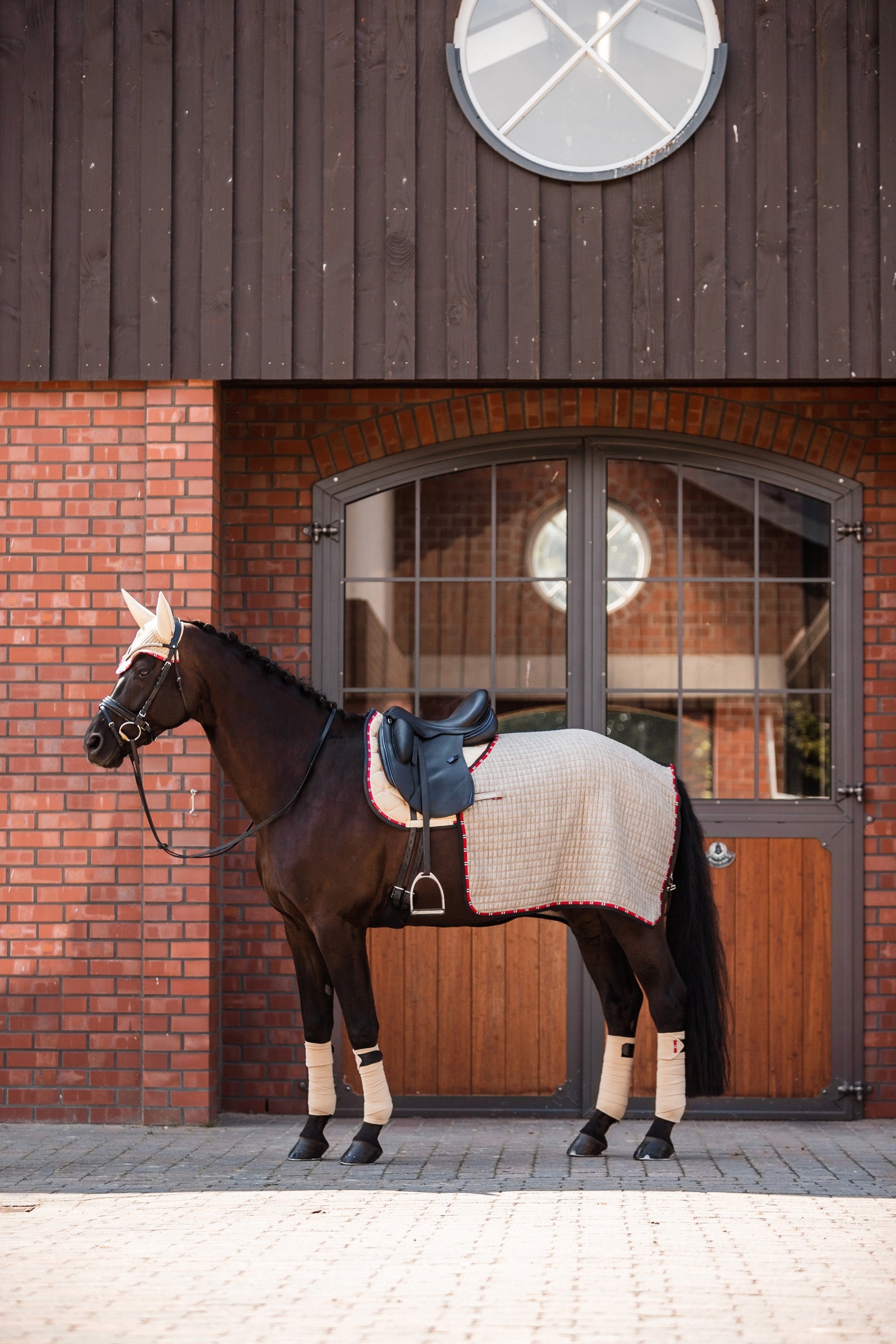 B Vertigo Amory Exercise Rug Horse Rugs