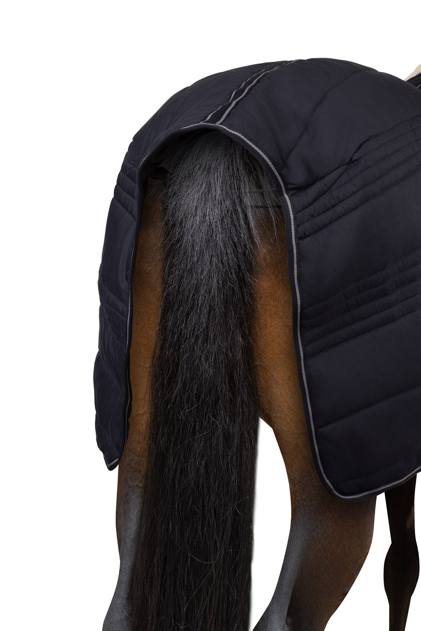 Horze Kingsley Stable Rug, 150g Horse Rugs