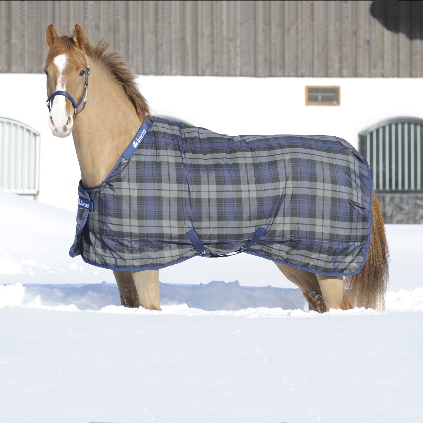 Bucas Celtic Stable Light rug Derki