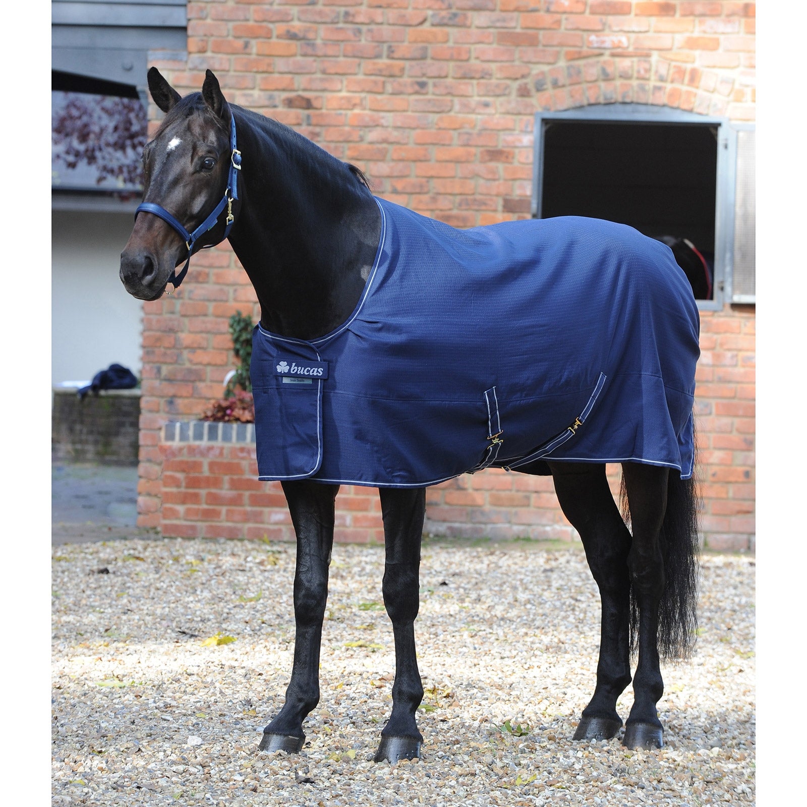 Bucas Irish Stable blanket, Light Derki