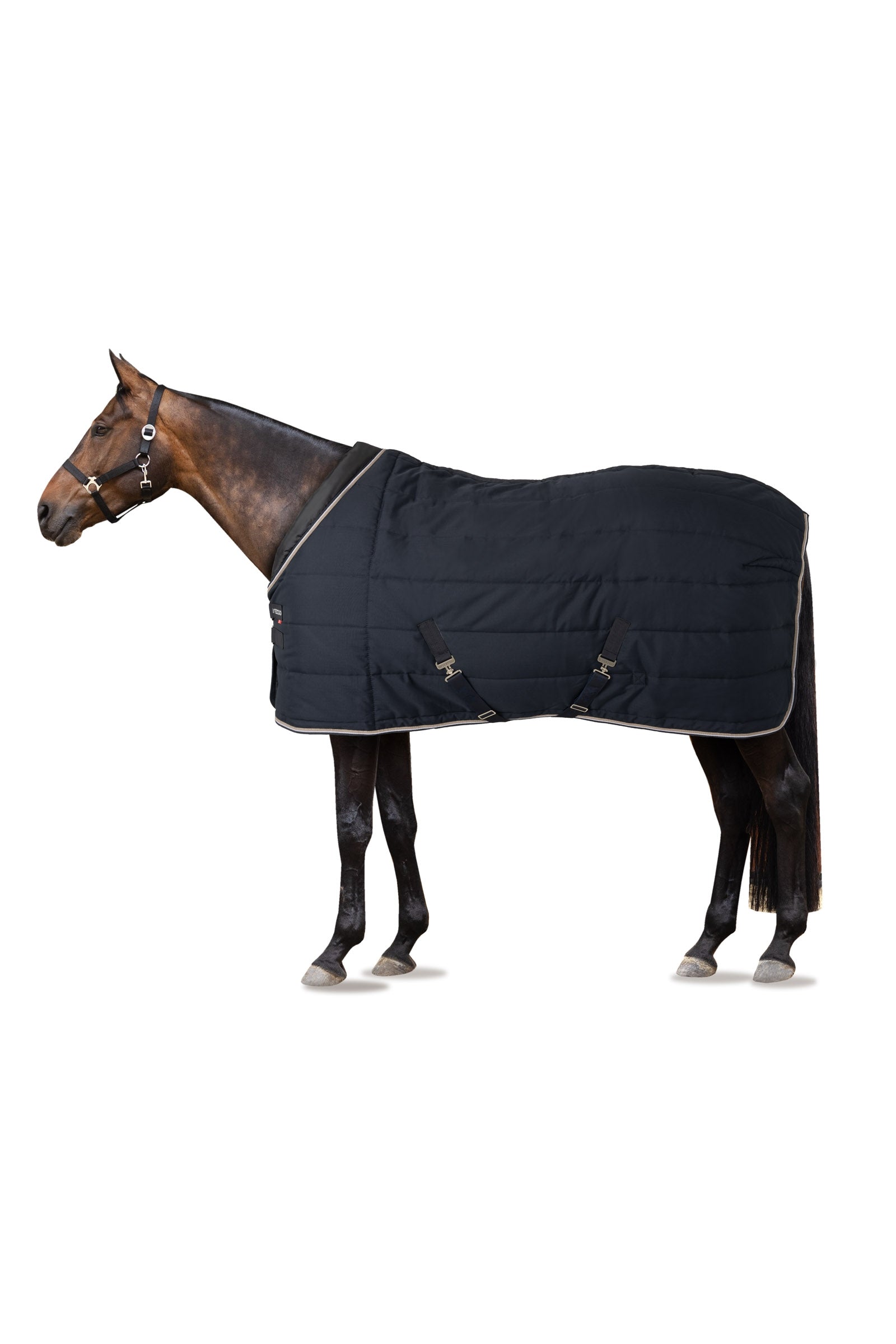 B Vertigo Derka stajenna Tim 400g Derki