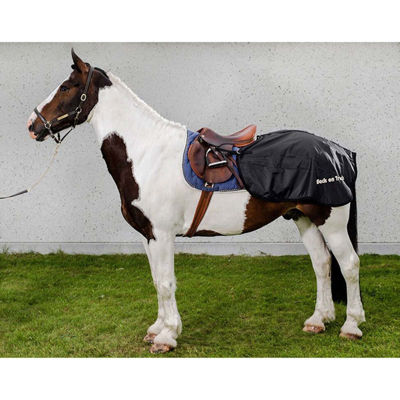 Back on Track Exercise Sheet Horse Rugs