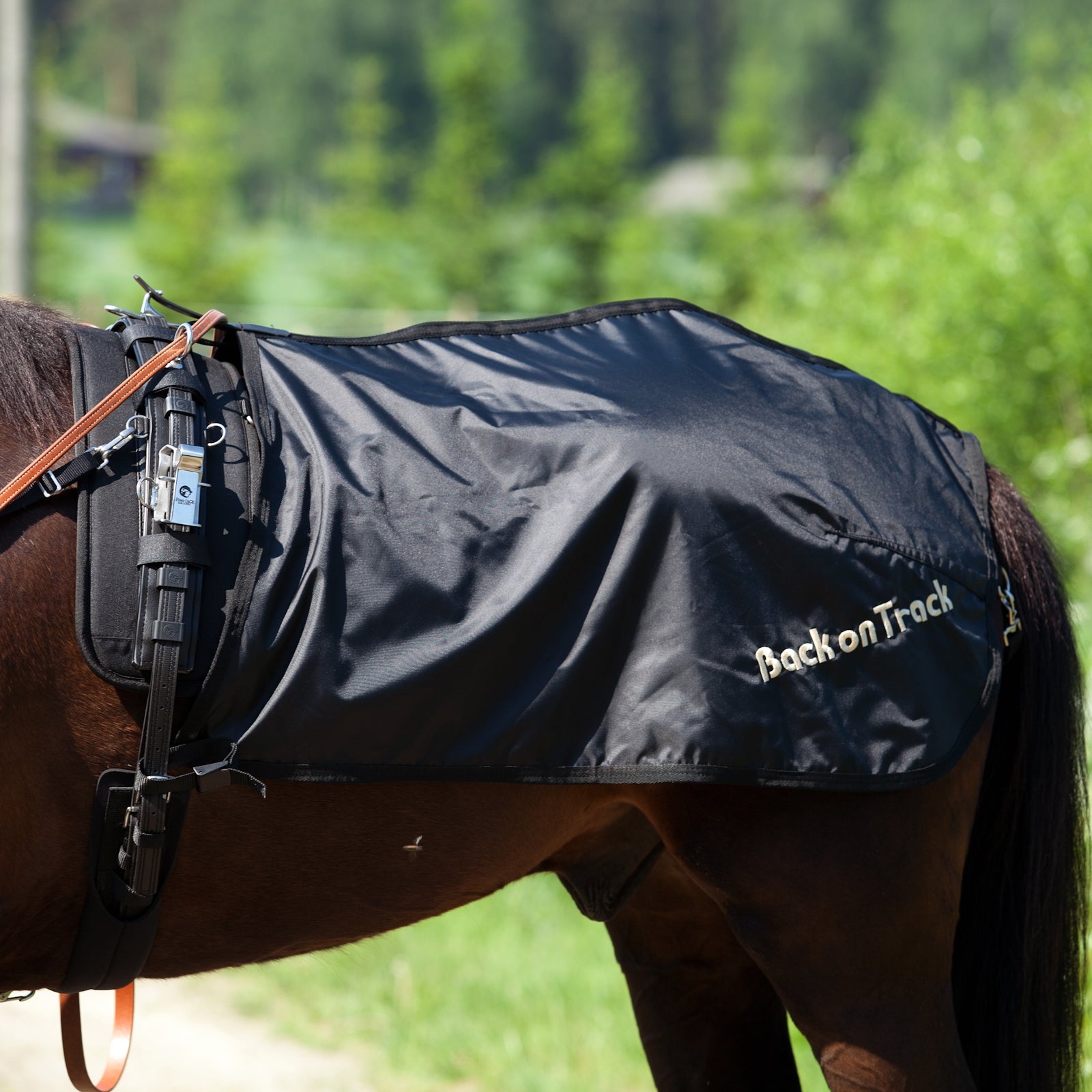 Back on Track Półderka na zad Back on Track, model szwedzki Derki