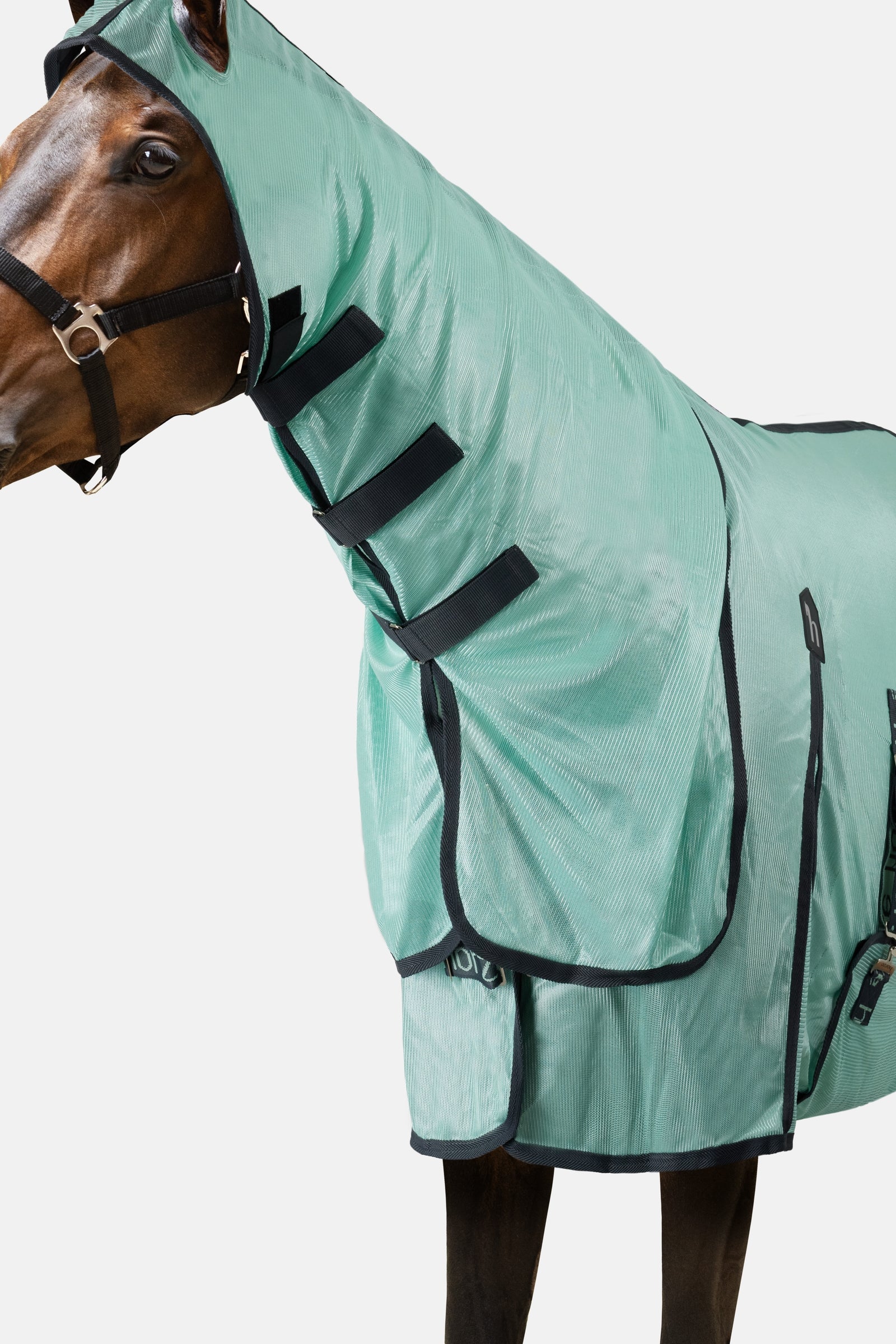 Horze Paso Fino Fly Rug with Hood and UV Protection Horse Rugs