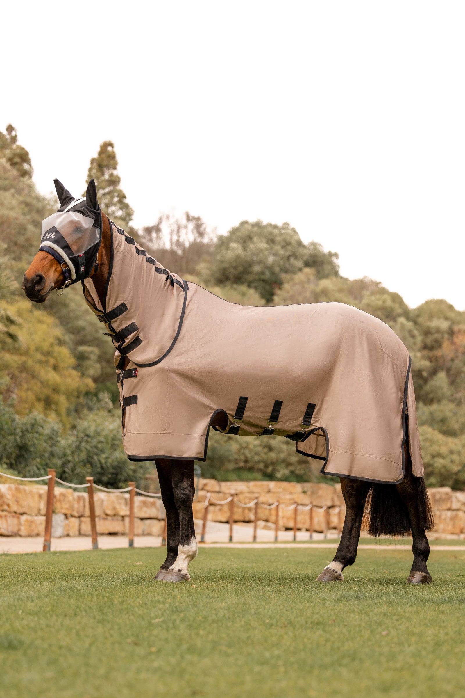 B Vertigo Delux Fly Rug with Detachable Neck and UV Protection Horse Rugs