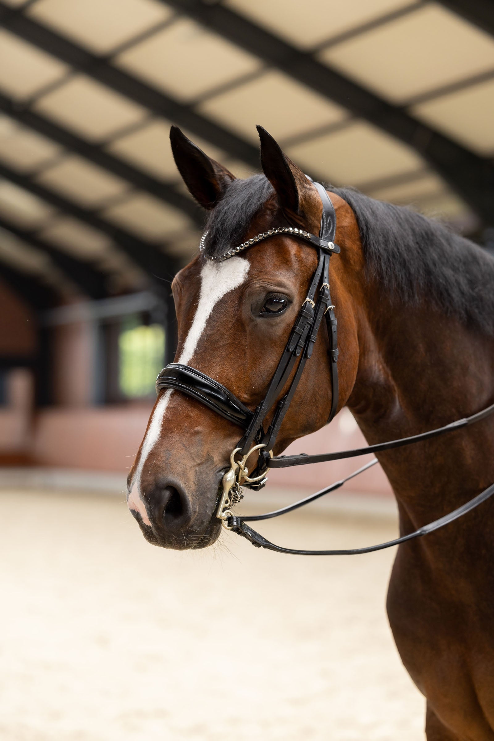 Horze Glamourdale Weymouth bridle Bridles & Reins